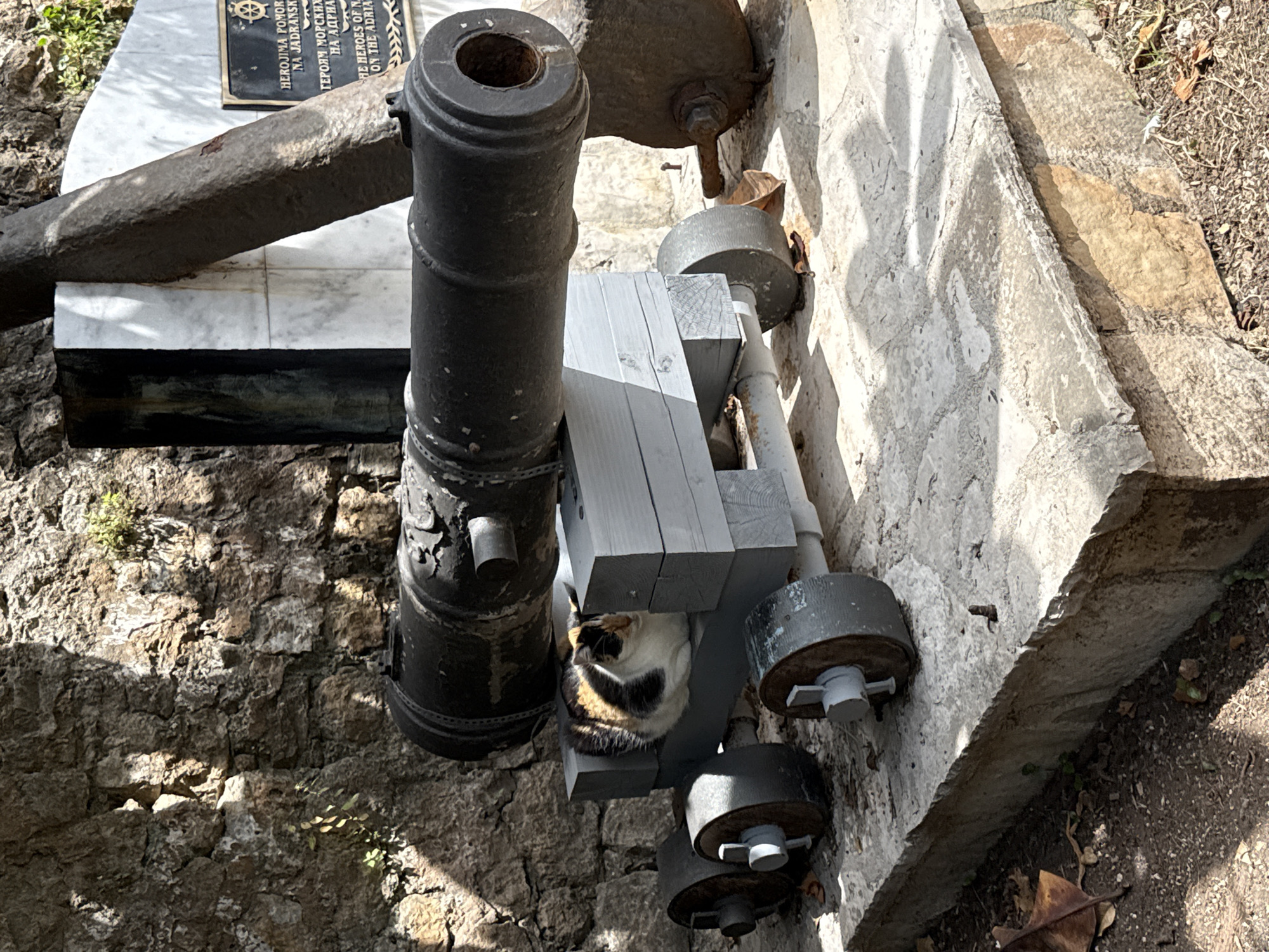 A historic cannon sits on a gray wooden carriage between stone fortifications in Herceg Novi, Montenegro. The cannon points up and to the left. A calico cat sleeps nestled between the cannon and the wooden carriage. To the left of the cannon is a marble monument with a bronze plaque written in two languages. The cannon sits above a stone wall. The sun is shining.