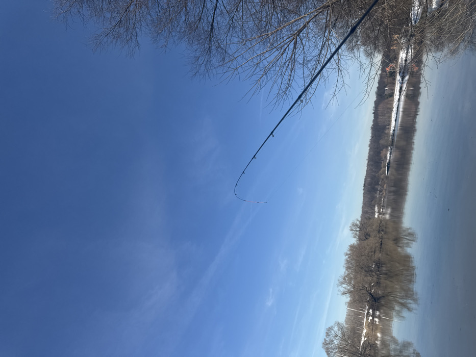 The image presents an outdoor scene along a river, identified as being in Ям, Russia, during what appears to be late winter or early spring. The upper two-thirds of the frame are dominated by a clear, bright blue sky with minimal, wispy white clouds. A dark-colored fishing rod extends from the lower right corner of the frame, angling upwards towards the center-left. The tip of the rod, marked with red and white stripes, is distinctly bent downwards, indicating tension on the line, which is visible entering the water. The river occupies the mid-ground and lower left, exhibiting a calm surface that reflects the blue sky and the surrounding bare trees. Both the near and far river banks are lined with deciduous trees, devoid of foliage, with patches of snow visible on the ground, particularly along the far bank. A light-colored structure is partially visible through trees on the distant left bank, and a red-roofed building or structure is faintly discernible on the distant right bank, also through trees. No individuals are visible within the frame.