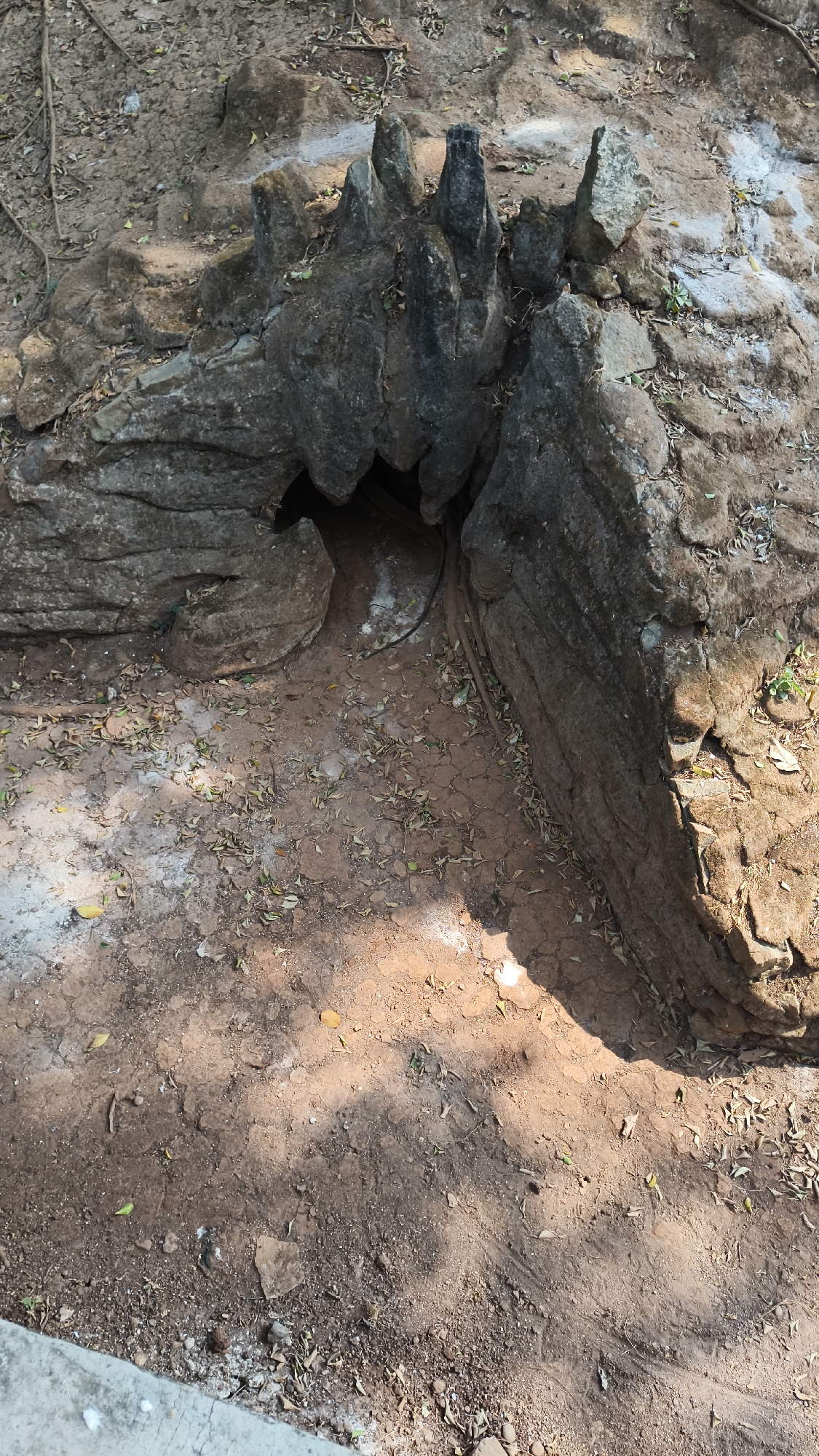 The image shows a natural rock formation with an opening that resembles a small cave or a hollow. The rock is dark gray and appears weathered, with sharp, jagged edges at the top of the formation. The ground surrounding the rock is made of dry, reddish-brown soil, covered with scattered dry leaves and small pebbles. There are patches of white material on the ground and on the rocks, possibly chalk or plaster. The scene is outdoors, with the ground showing signs of dryness and cracks, suggesting a warm climate. The lighting indicates it is daytime, with distinct shadows cast by the rocks and leaves. The overall environment suggests a natural or semi-natural setting, possibly a park or a less-developed area. The image does not provide any specific clues to pinpoint a location within South Jakarta, Indonesia, beyond the general description of an outdoor, rocky, and earthy environment.
