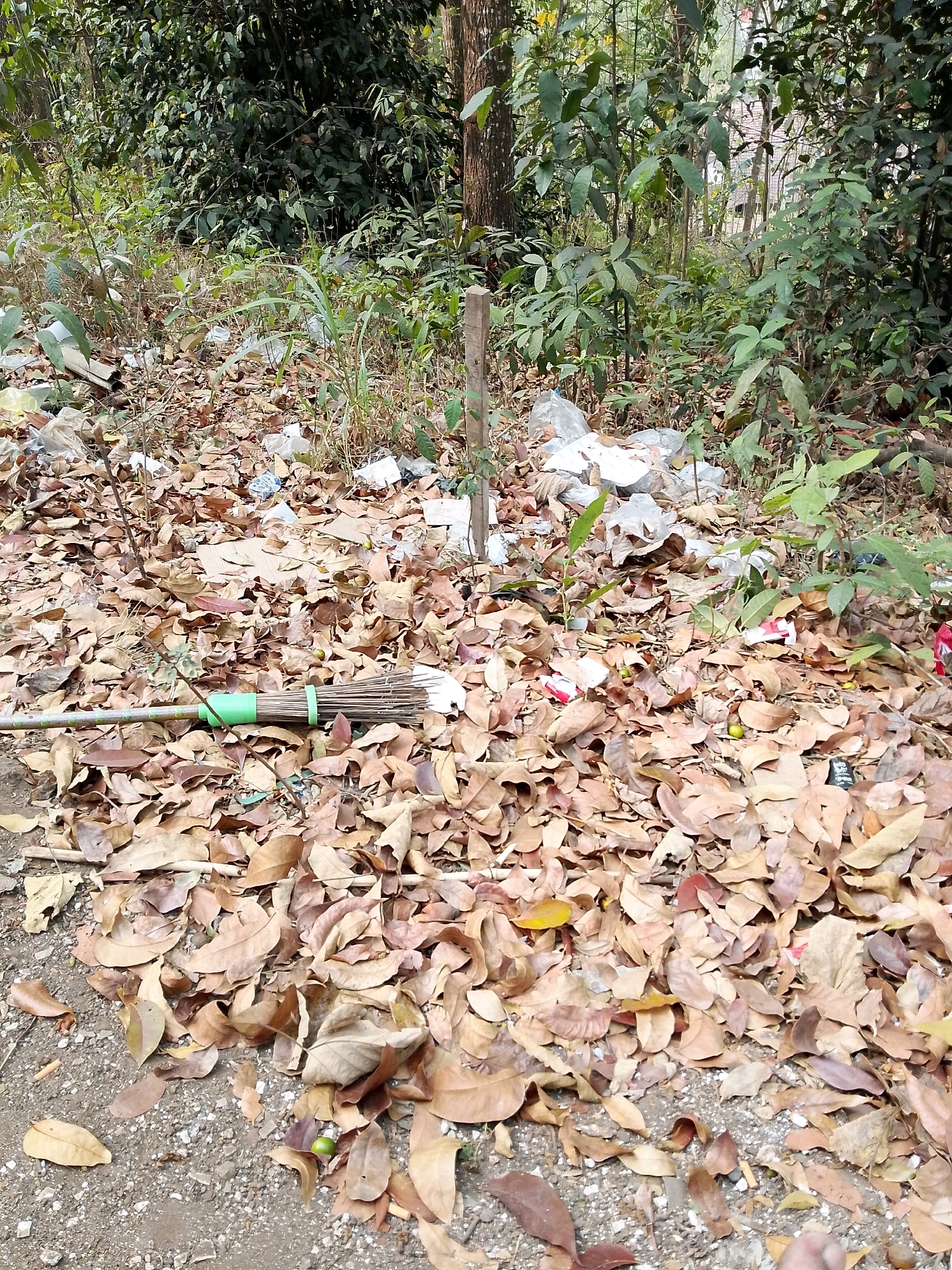 A pile of fallen brown leaves and various forms of trash, including plastic bags, cardboard, and red and white wrappers, are scattered on the ground in a wooded area. A broom with a green handle and bristles is lying on top of the leaves. Several small green fruits are visible amongst the leaves, and a single wooden post stands in the background. The scene appears to be in a neglected outdoor space.
