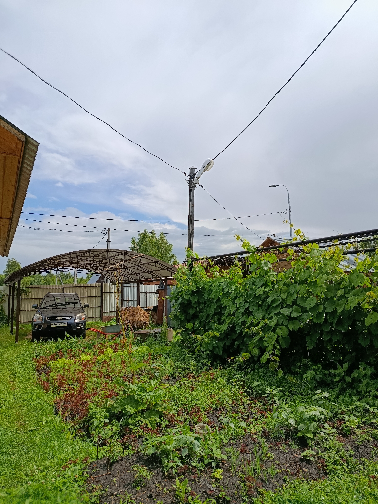 A dark-colored SUV is parked under a transparent, curved carport. A wheelbarrow sits in front of the car. Beyond the carport, a dense green vine covers a fence. A wooden house with a dark roof is visible behind the vine. A utility pole with wires and lights stands to the right, and another street light is further in the background. The scene is a yard with a garden in the foreground, featuring various green plants and some reddish-brown foliage. The sky is overcast with some patches of blue clouds. The overall impression is that of a rural or suburban setting on a cloudy day. The license plate on the car reads "x349yy 199". The location is Verea, Russia.