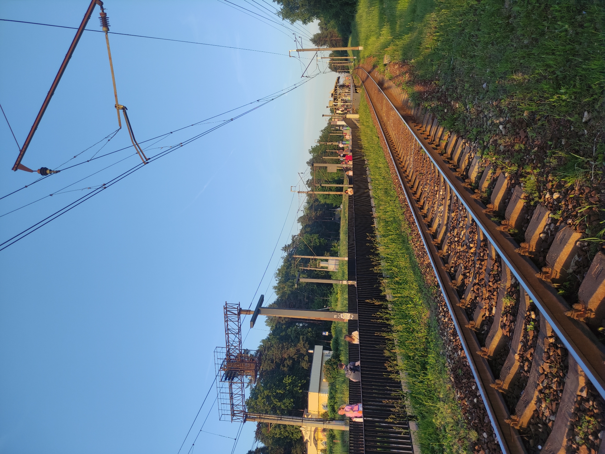 The image depicts a railway scene in Kratovo, Russia, specifically near the "Professor's Corner" area, as indicated by a partial Cyrillic sign "ПРОВ" on a distant building. A single electrified railway track, composed of steel rails on concrete sleepers set in ballast, extends from the bottom left foreground towards the upper right, gently curving into the distance. Lush green grass and weeds grow abundantly alongside and within the track ballast.
To the left of the track is an elevated passenger platform, bordered by a dark, vertical slatted metal fence. Numerous individuals, approximately 10-15 identifiable people, are present on the platform. In the foreground section of the platform, two individuals are visible, one in a pink top. Further along the platform, more people are gathered, some standing under a covered shelter structure.
Overhead catenary lines and their support infrastructure dominate the upper portion of the scene. Multiple electrical wires are suspended from a network of poles and crossbeam structures. A prominent, rusted metal gantry structure spans the tracks in the mid-left, supporting various overhead lines. Another complex overhead support mechanism with insulators is visible in the upper right.
Behind the platform and gantry, partially obscured by trees, stands a light-yellow building with a dark roof and decorative elements. A blue parking sign with a white "P" is visible near this building. A dense line of green trees forms the background, suggesting a natural or park-like setting bordering the railway line. The sky is clear and light blue, indicating fair weather, with the sun low in the sky, casting warm, golden light across the scene, particularly on the tracks and grassy areas, from the right side.