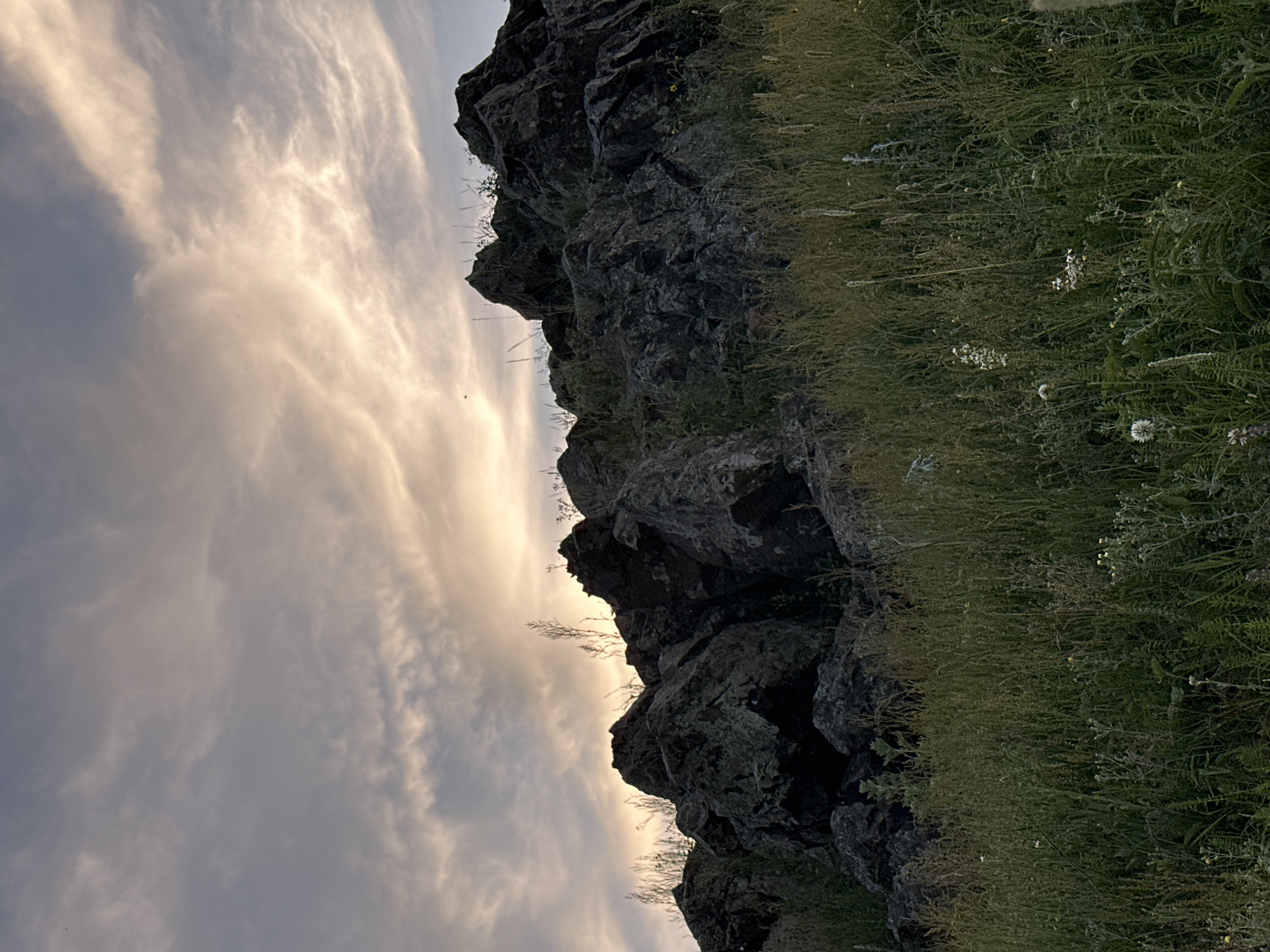 The image depicts a rocky outcrop covered in tall grass and wildflowers. The sky above is filled with wispy clouds illuminated by the soft glow of the setting sun. The overall scene is one of natural beauty and tranquility, with no human presence or artificial elements visible. The photograph is taken from a low angle, emphasizing the ruggedness of the rocks and the density of the vegetation.