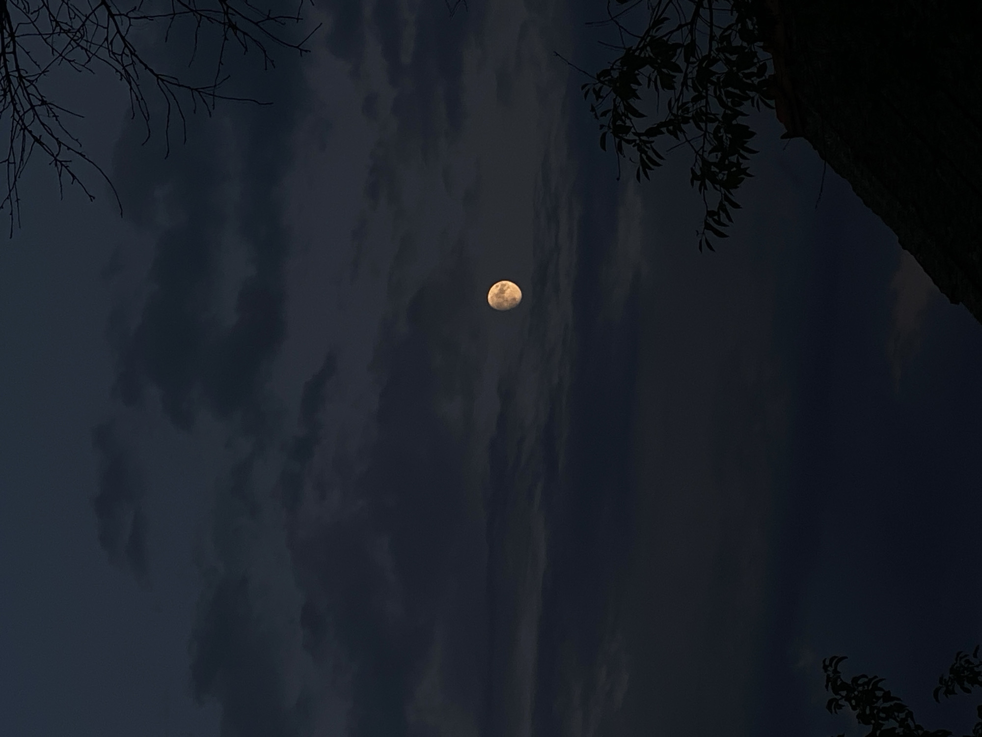The image depicts a nighttime scene featuring a waxing gibbous moon partially obscured by dark, textured clouds. The moon is a pale orange-yellow hue. Silhouetted against the dark sky are the bare branches of a tree in the upper right quadrant, and foliage from another tree, along with the dark outline of a sloped roof, in the lower right quadrant. The overall atmosphere is somber and quiet. The location is identified as Cairaclia, Moldova. There are no people or specific actions visible in the image.