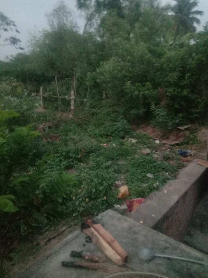 The image shows a concrete structure with a metal ladle lying next to it. To the left of the structure, there is a dense patch of foliage, some branches, and a few pieces of trash. The scene is located in Alangudi, India, at coordinates 10.367 latitude and 78.982 longitude. The image appears to have been taken during the day, as the lighting is bright. The image is of poor quality, however, and the details are blurred.
