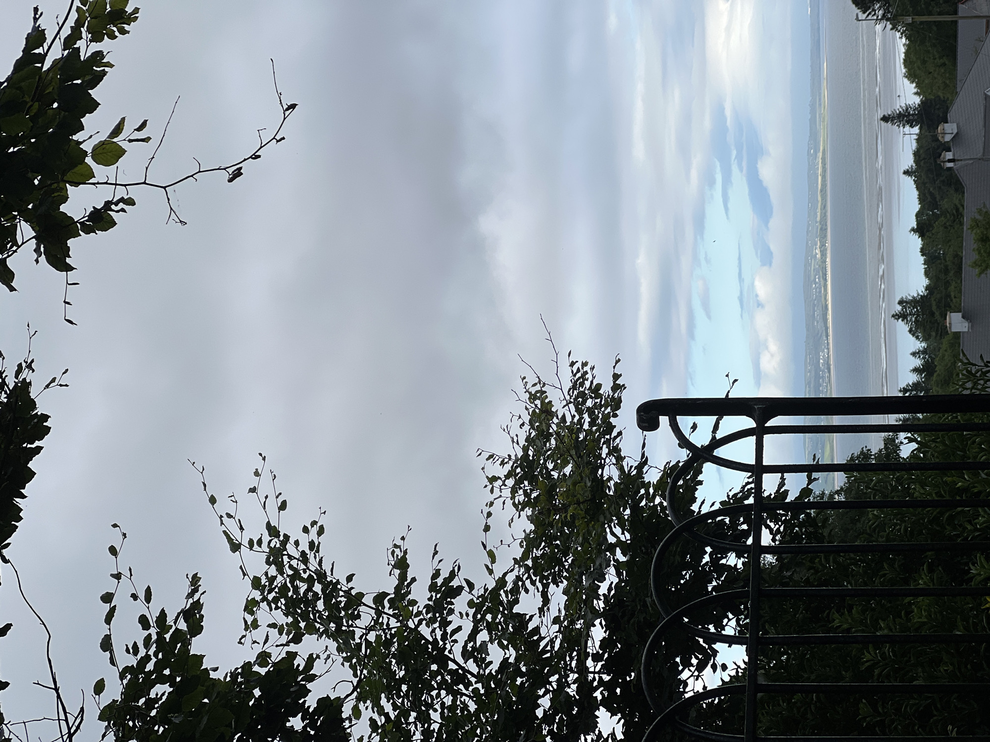 The image, oriented vertically, captures a serene natural scene with a glimpse of human habitation. In the foreground, silhouetted against a cloudy sky, are the dark branches and foliage of trees, some with sparse leaves. A decorative black metal railing curves into the frame from the right, its ornate design suggesting a garden or balcony.
Beyond the foliage, the scene opens up to a vast expanse of water, likely the Donegal Bay, given the location context of Mountcharles, Ireland. The water reflects the sky, which is a blend of soft grays and patches of pale blue, indicating an overcast but not entirely gloomy day. The distant shoreline is visible, dotted with what appears to be a town or village, with houses and a road tracing its edge. Further inland, rolling hills rise, covered in greenery. Tall, dark green coniferous trees frame the right side of the image, interspersed with the roof of a building with dark shingles and white ventilation pipes.
The overall impression is one of tranquility, with nature dominating the view. The diffused light suggests it might be late afternoon or early morning. No people are visible, and no text is present in the image. The scene evokes a sense of peaceful observation, looking out over a coastal landscape.