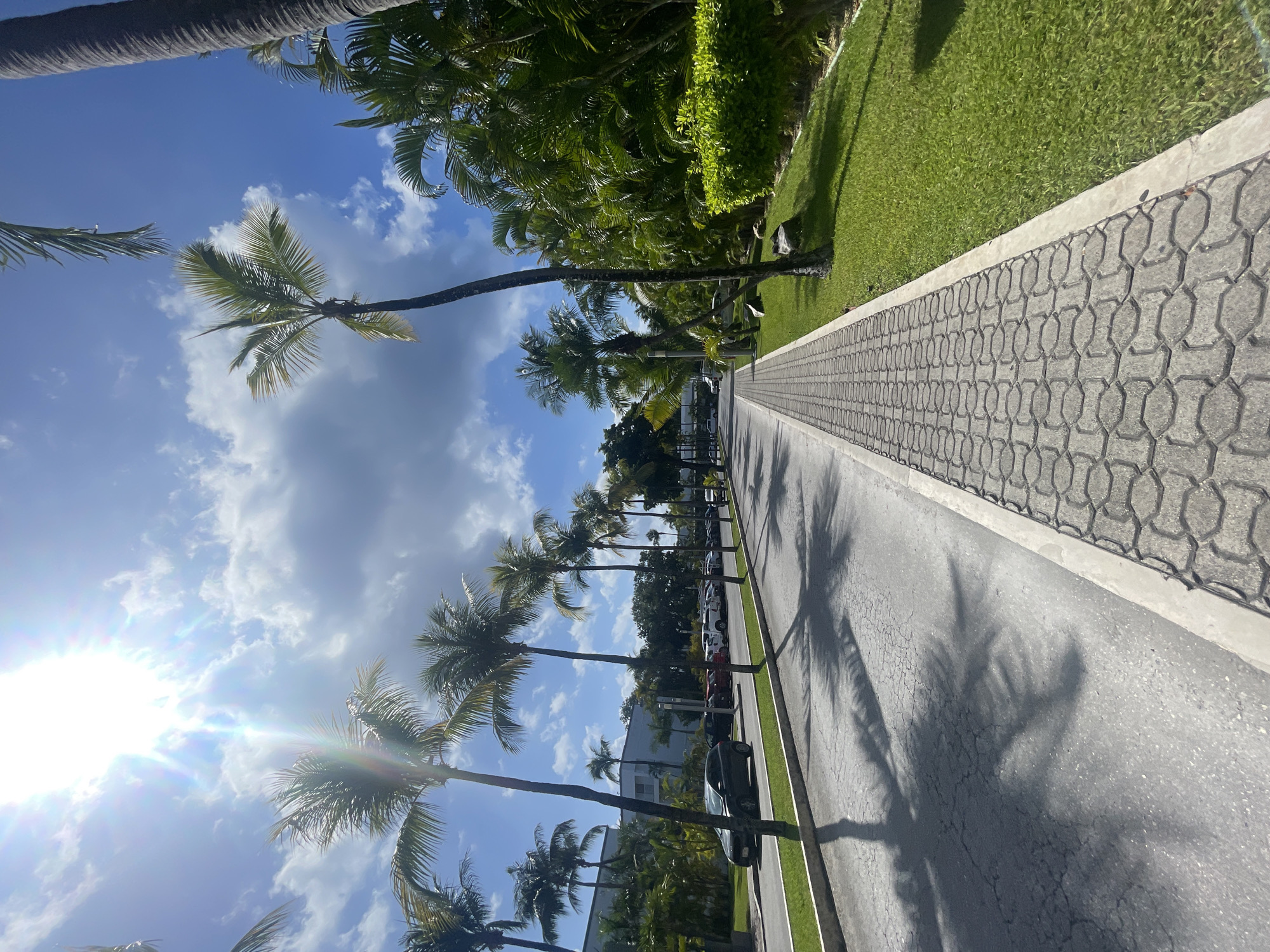 The image depicts a sunny day on a street in Playa del Carmen, Mexico, characterized by a row of palm trees along the left side. The sky is blue with scattered clouds, and the sun shines brightly, casting shadows of the palm trees onto the gray asphalt road. Cars are parked along the right side of the road, next to a strip of green grass and shrubbery. A patterned concrete sidewalk runs parallel to the road on the right, bordered by a light gray concrete edge. The overall scene presents a typical tropical street setting.
