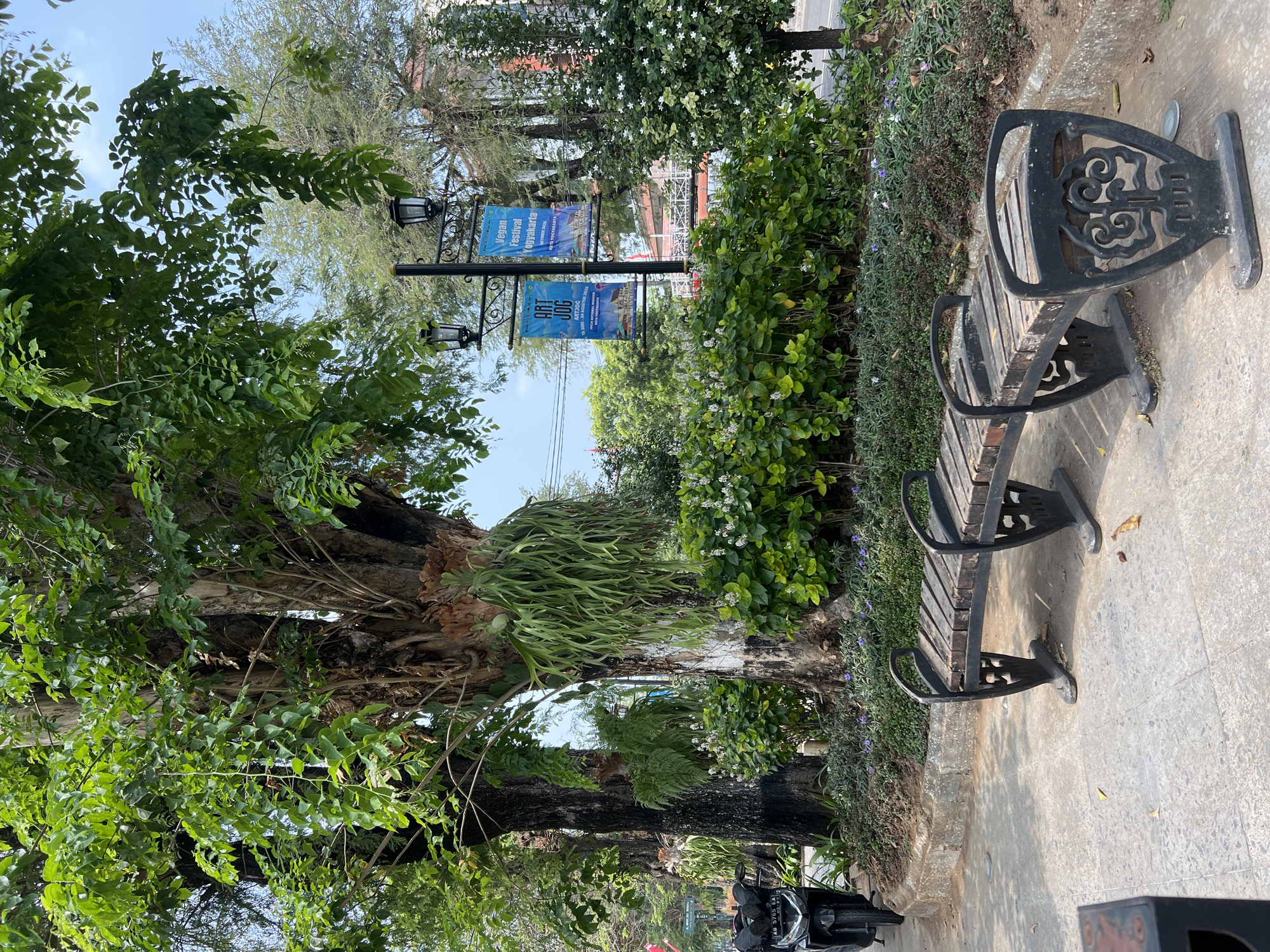 This image captures a scene in Yogyakarta, Indonesia, likely a public park or roadside area. In the foreground, a weathered wooden bench with ornate black metal legs sits on a patterned concrete pathway. To the left, a black motorcycle is parked, its license plate visible. Behind the bench, a lush garden bed is filled with dense green shrubs dotted with small white flowers and patches of purple wildflowers. The garden is bordered by a concrete curb. Dominating the midground are several large, mature trees. The largest tree on the right has a thick, textured trunk and is adorned with hanging epiphytic plants that resemble long, green beards. Another large tree to its left also shows similar hanging plants.
In the background, two lampposts with black metal decorative elements stand prominently. Suspended from these lampposts are two blue banners. The banner on the left reads "ART JOG" with dates and "JOGJA NATIONAL MUSEUM KOTA YOGYAKARTA." The banner on the right says "Vegan Festival Yogyakarta" with dates and "KOTA YOGYAKARTA." Beyond the trees and banners, glimpses of buildings and more trees can be seen against a bright, clear sky. The overall atmosphere suggests a warm, sunny day in an urban green space.