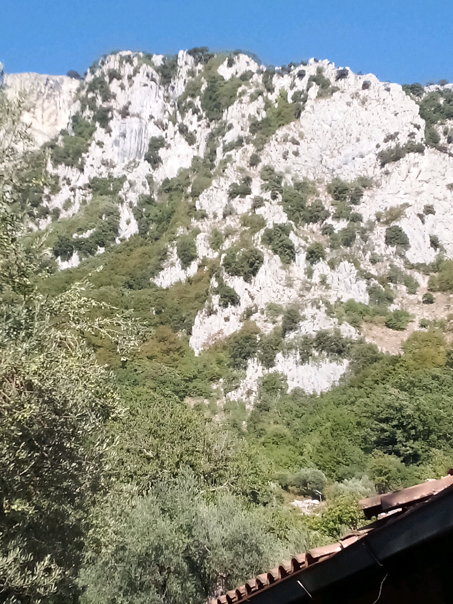 The image shows a view of a steep, rocky mountainside covered in patches of green vegetation, likely trees and shrubs. The sky above is a clear, bright blue. In the foreground, the edge of a tiled roof, possibly part of a building in Valva, Italy, is visible. The lighting suggests it is daytime, with sunlight illuminating the scene. There are no people or animals present in the image. The overall impression is of a natural landscape with a hint of human habitation.
