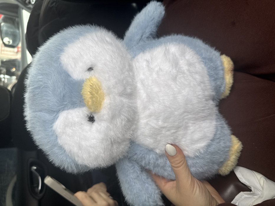 A fluffy light blue and white plush toy, resembling a penguin with a yellow beak and yellow feet, occupies the central foreground. A human hand, displaying light-colored manicured fingernails, grips the left side of the toy. The toy rests on dark reddish-brown fabric, likely a lap or vehicle seat. In the upper left background, a partially obscured human hand is visible holding a light-colored smartphone. Vehicle interior elements, including a dark door handle, are present in the upper left, and reflections suggesting an exterior environment are visible through a window in the upper right. The environment is the interior of a vehicle. The location is reported to be Apnagyugh, Armenia.