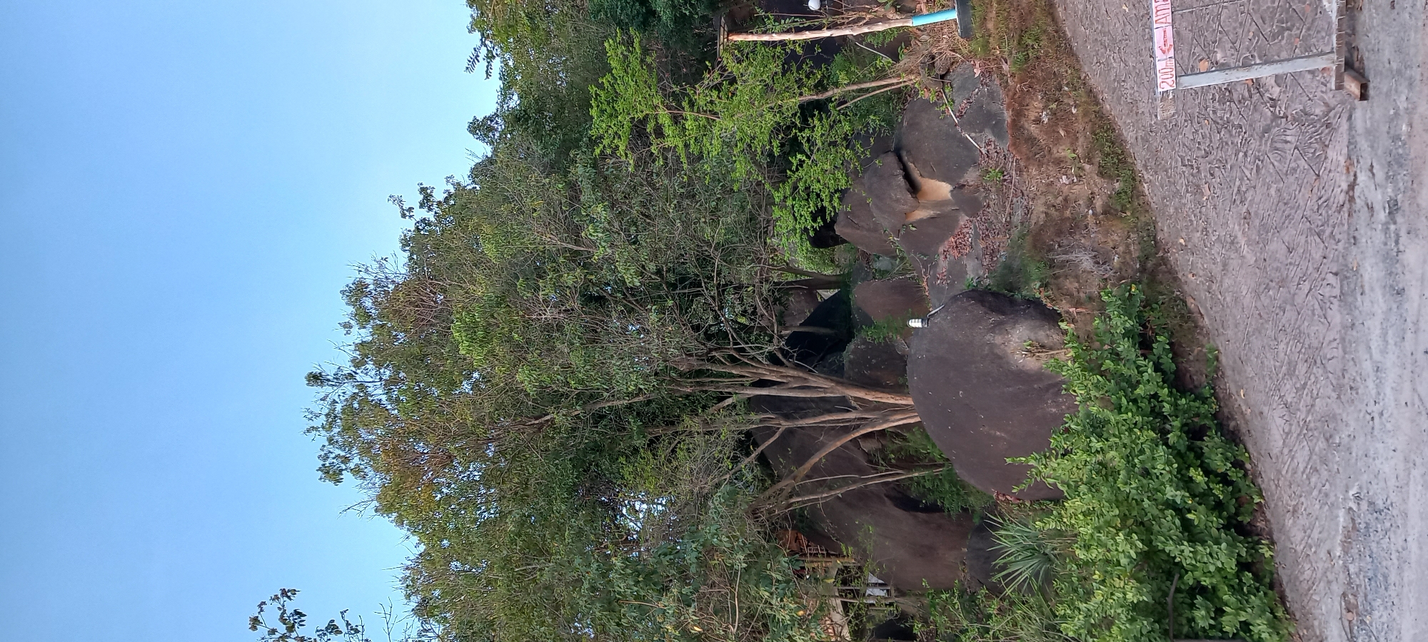 The image shows a view of a park area in Baan Wok Tum, Thailand. Large, dark-colored boulders are scattered throughout the area, partially covered by vegetation. A tree with dense foliage is centrally positioned, its branches spreading among the rocks. Next to the rocks is a walking path with signage. The sky is a clear blue, visible through gaps in the trees.