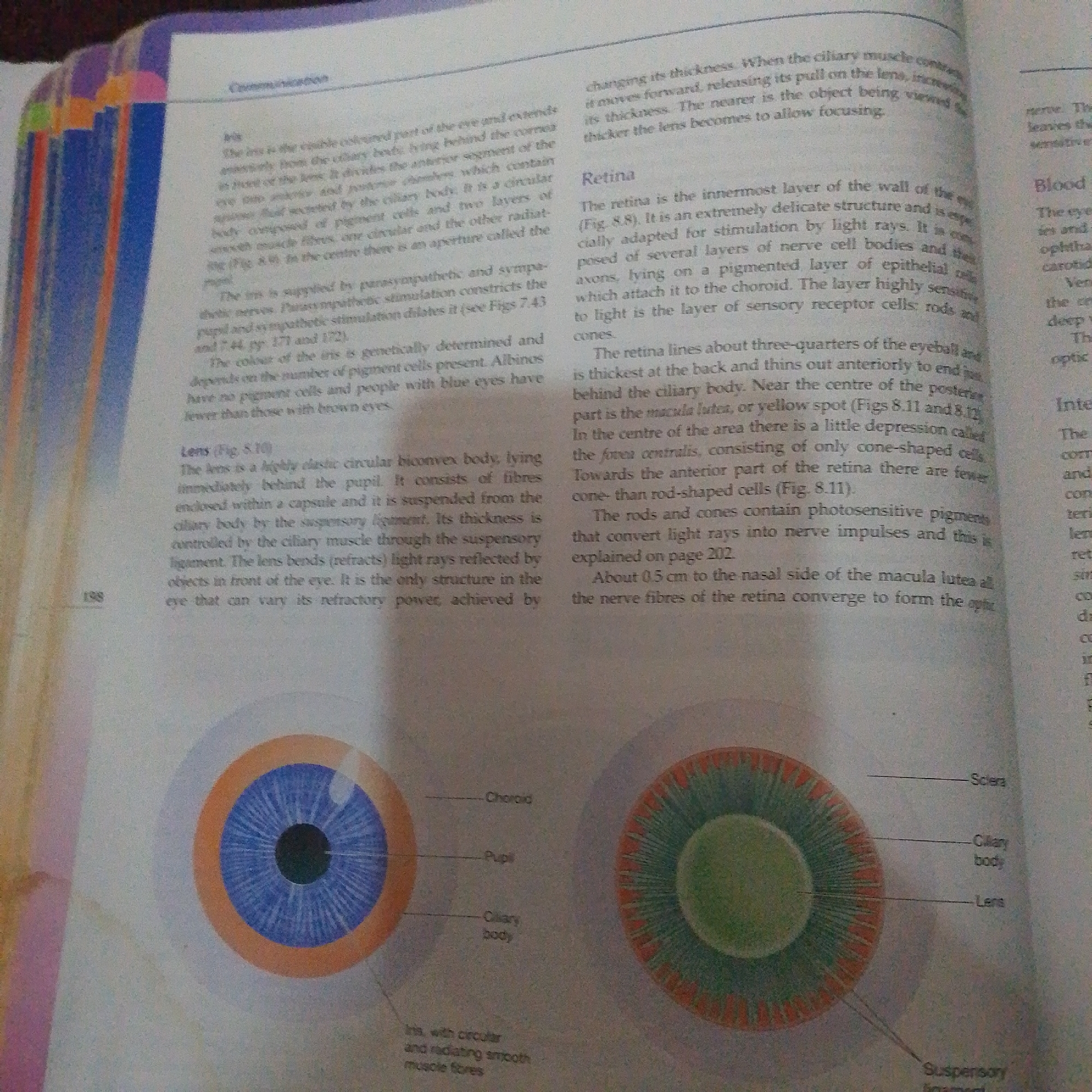 This is a close-up, angled shot of an open book, viewed from above. The page is filled with dense black text and features two colorful, detailed diagrams of the human eye. The text appears to be educational material, discussing the anatomy and function of the eye, with specific sections on the Iris, Lens, Retina, and Blood supply. There are also labels on the diagrams pointing to parts like the Choroid, Pupil, Ciliary body, Sclera, and Lens. The book is lying open on a surface that is mostly out of frame, but shows hints of a patterned fabric in the upper left. The lighting is artificial, likely from a lamp or overhead light, as there are no strong shadows or indications of natural light sources. The overall scene is a still, academic setting, likely a study or classroom, where someone is reading or studying the provided information.