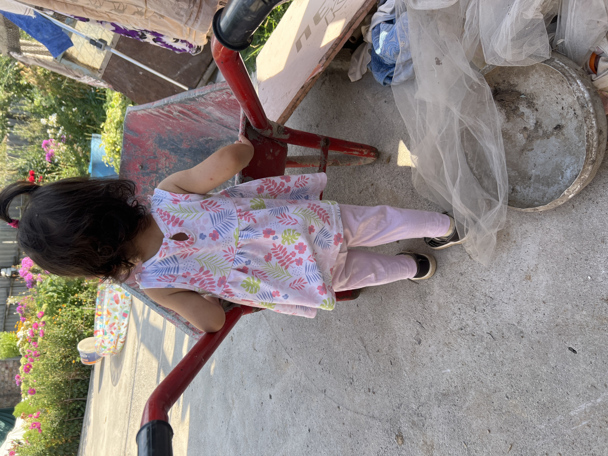 A young girl, seen from behind, is pushing a red wheelbarrow in an outdoor setting. She has dark hair pulled into a ponytail and is wearing a white dress with a floral print and pink leggings. Her shoes are dark with white accents. The wheelbarrow appears to be made of metal and wood. In the background, there is a garden with pink and white flowers, a small inflatable pool, and various objects including cloth and a metal basin. The ground is concrete. The location is identified as Ak-Suu, Kyrgyzstan.
