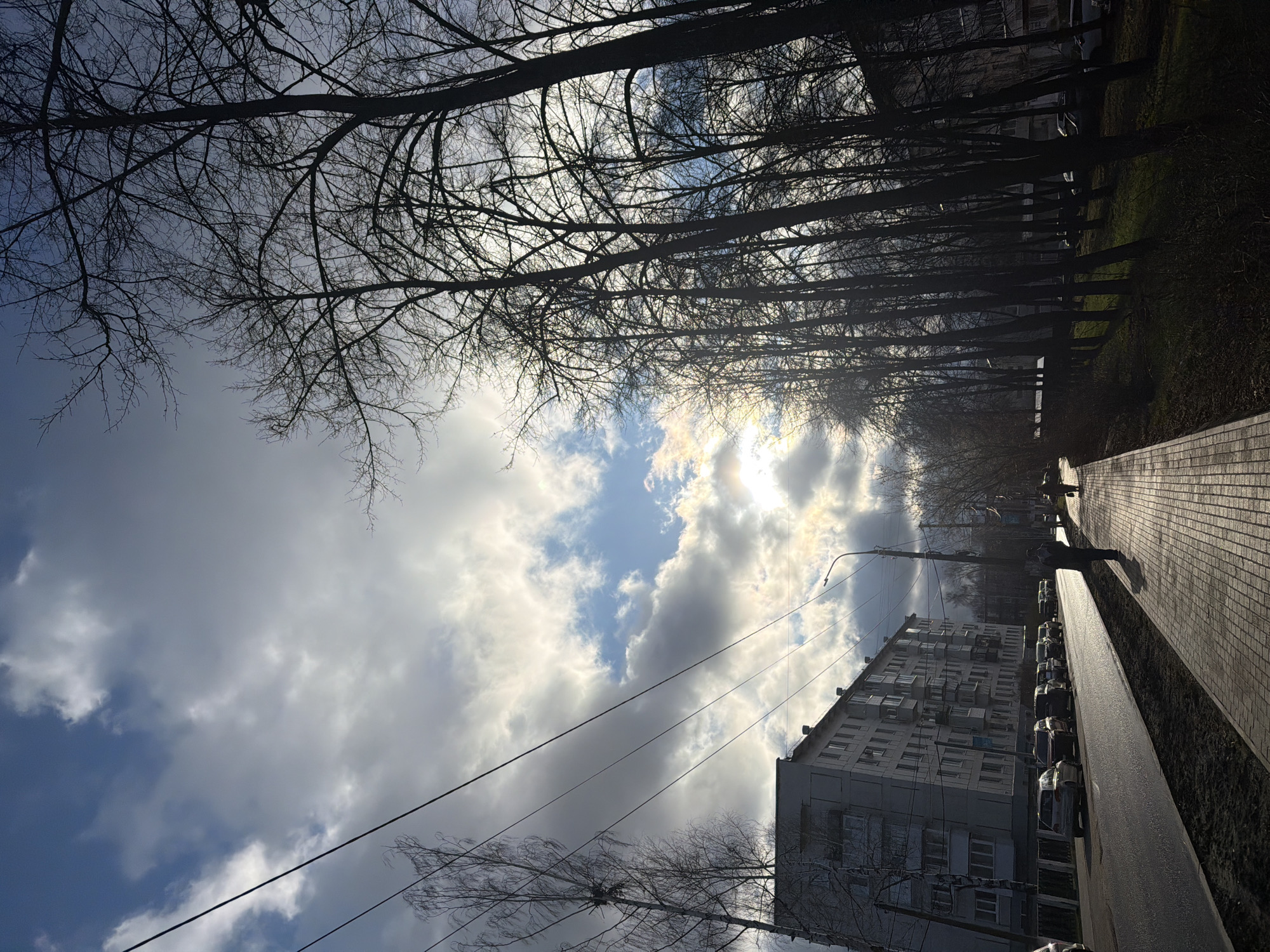 This vertical image depicts an urban street scene in Chaikovsky, Russia, oriented to look upwards along a tree-lined path. The sky dominates the upper portion, showcasing a dramatic contrast of bright blue patches amidst expansive, fluffy white and grey clouds. The sun, partially obscured by clouds, radiates a bright glare, backlighting the scene and casting long shadows.
Numerous bare deciduous trees, stripped of their leaves, line the pathway, their intricate, dark branches forming striking silhouettes against the luminous sky. A multi-story apartment building with numerous windows, some featuring air conditioning units, is visible on the right side of the image (if rotated to landscape), indicative of typical Russian residential architecture. Below the building, several cars are parked along a street or paved area. A paved sidewalk or pedestrian path runs parallel to the street on the far right, with a strip of dark, sparse ground separating it from the street.
A few indistinct human figures are visible in the distance along the sidewalk, heavily silhouetted by the sun. Utility poles and dark power lines crisscross the sky, adding an industrial element to the urban landscape. The bare trees and the sparse ground vegetation suggest the season is either late autumn, winter, or early spring. The strong backlighting implies it's either late morning or afternoon. No discernible text is visible within the image.
