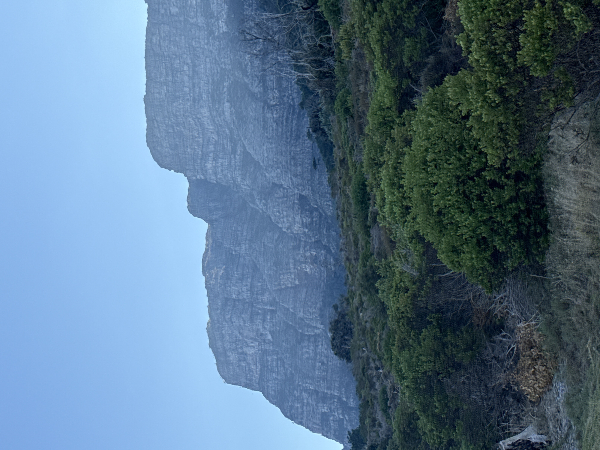The image shows a mountain in Cape Town, South Africa. The mountain has a steep, rocky face with visible layers of rock. Lush green vegetation covers the lower slopes of the mountain, contrasting with the gray rock face. The sky is a pale blue, indicating daylight. No people or animals are visible.