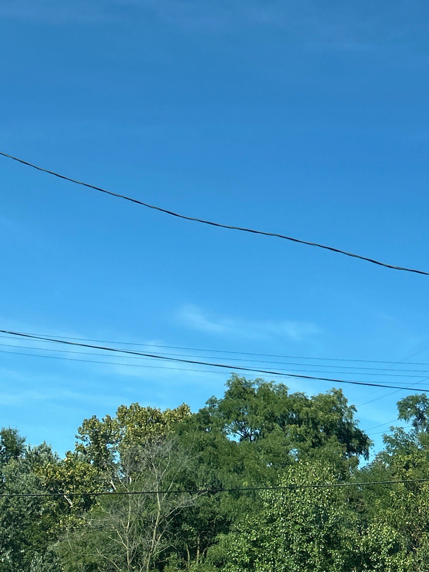 A wide shot captures a clear blue sky above a dense canopy of green trees. Several utility wires, dark and thin, stretch horizontally across the frame, intersecting the vast expanse of the sky. The trees, lush and full, dominate the lower portion of the image, with varying shades of green indicating different species and possibly the onset of autumn. The scene appears to be outdoors, likely in a residential or suburban area, given the presence of utility wires and abundant trees.