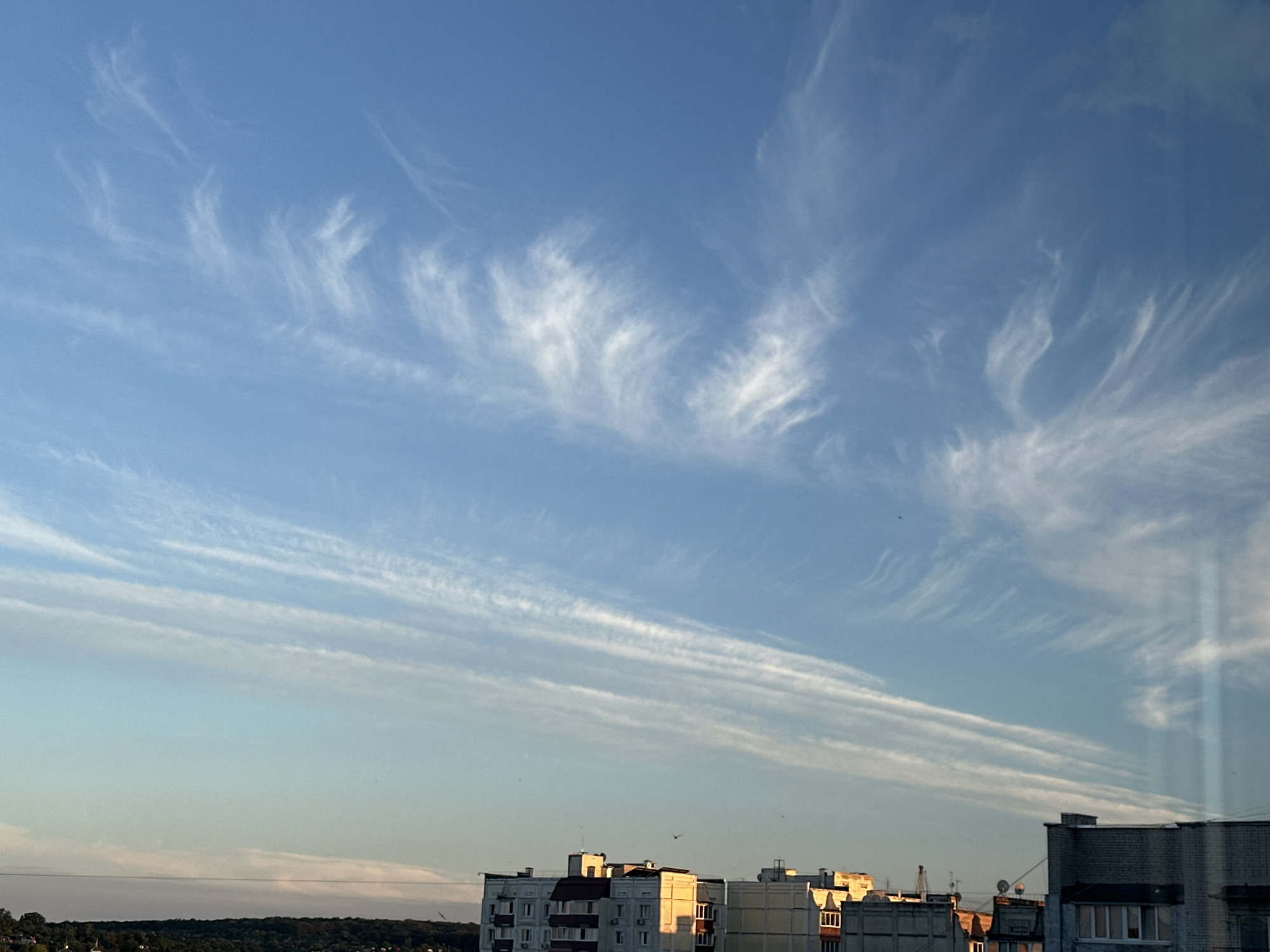 The image shows a clear blue sky with wispy white clouds above a cityscape. The clouds are streaked across the sky in a wispy, feather-like pattern. Below the sky are several multi-story buildings, characteristic of a city environment. Some of the buildings are made of brick, while others appear to be made of concrete and have balconies. The scene is illuminated by sunlight, casting shadows and highlighting the architectural details of the buildings. The lower portion of the image also shows a distant treeline, suggesting the presence of natural landscape beyond the urban area. The image appears to be taken from a higher vantage point, looking down on the city.