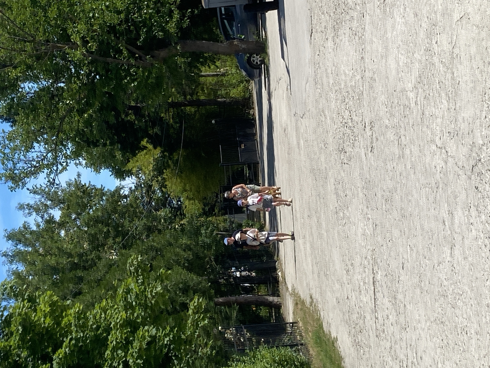 The image shows a group of four people walking on a paved surface next to a line of trees. The people are dressed casually in t-shirts and shorts. The person in the front is wearing a white t-shirt and dark shorts, with a white hat and backpack. The next person is wearing a white t-shirt and light-colored shorts, also with a white hat. The third person is wearing a patterned t-shirt and light shorts, and the person in the back is wearing a patterned t-shirt and light shorts. The trees are lush and green, suggesting a warm day. The sky is blue and clear, indicating sunny weather. The paved surface appears to be asphalt, and there is a dark fence or railing in the background, partially obscured by trees. A vehicle is visible behind the trees. The scene appears to be a park or a recreational area. The people are walking in the same direction, and their posture suggests they are casually strolling. The time of day appears to be daytime, given the bright sunlight and shadows. There is no visible text in the image. The setting is outdoors, likely in Varna, Bulgaria, given the provided location context.