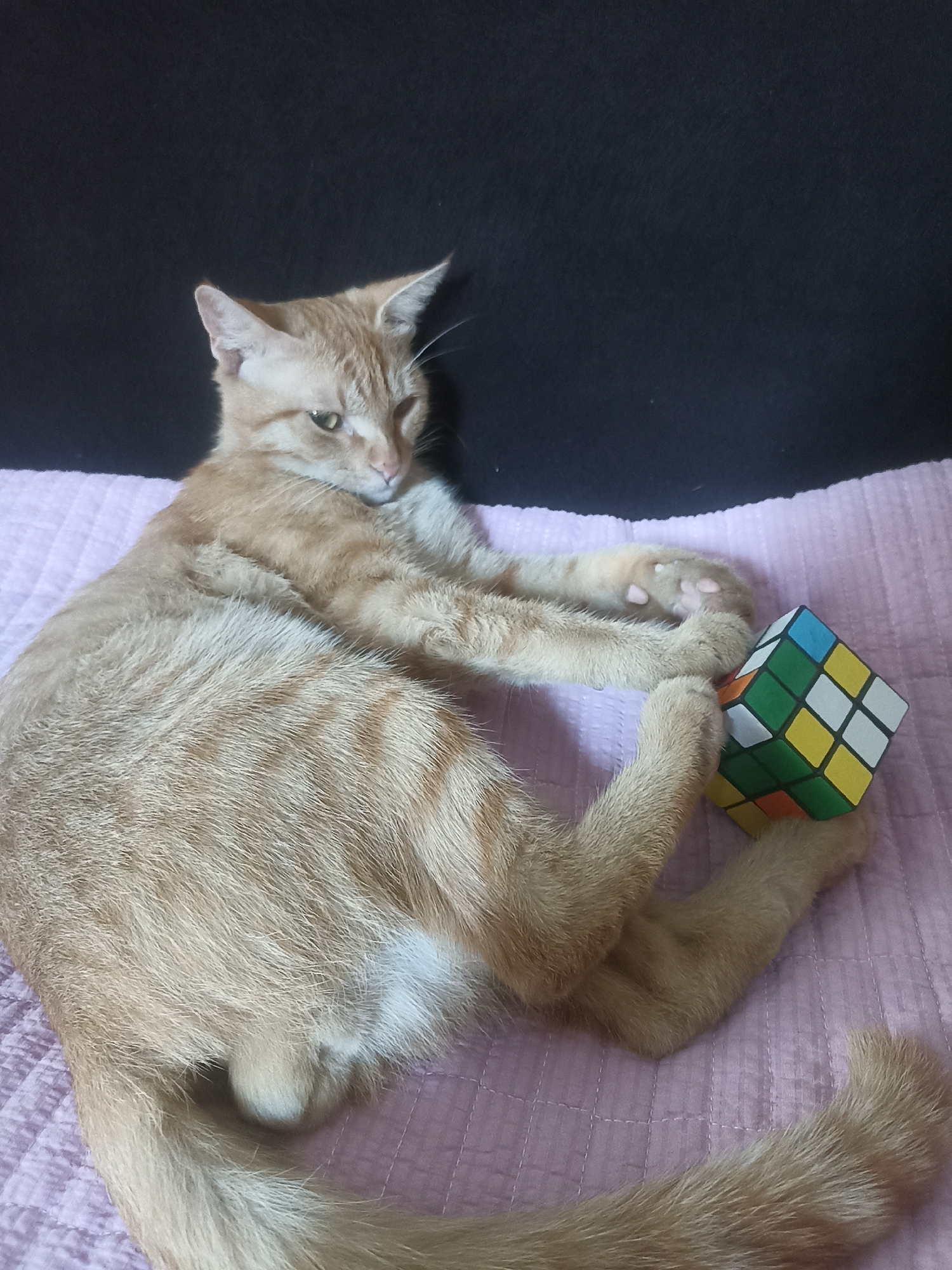 An orange tabby cat with stripes is lying on a pink quilted surface. The cat is positioned on its side, facing towards the right of the frame, with its paws extended. In front of the cat's paws is a partially solved Rubik's Cube, with green, yellow, orange, and white squares visible. The background is a dark, out-of-focus area. The image appears to be a domestic scene, taken indoors, with no specific urban context of Osh City, Kyrgyzstan.