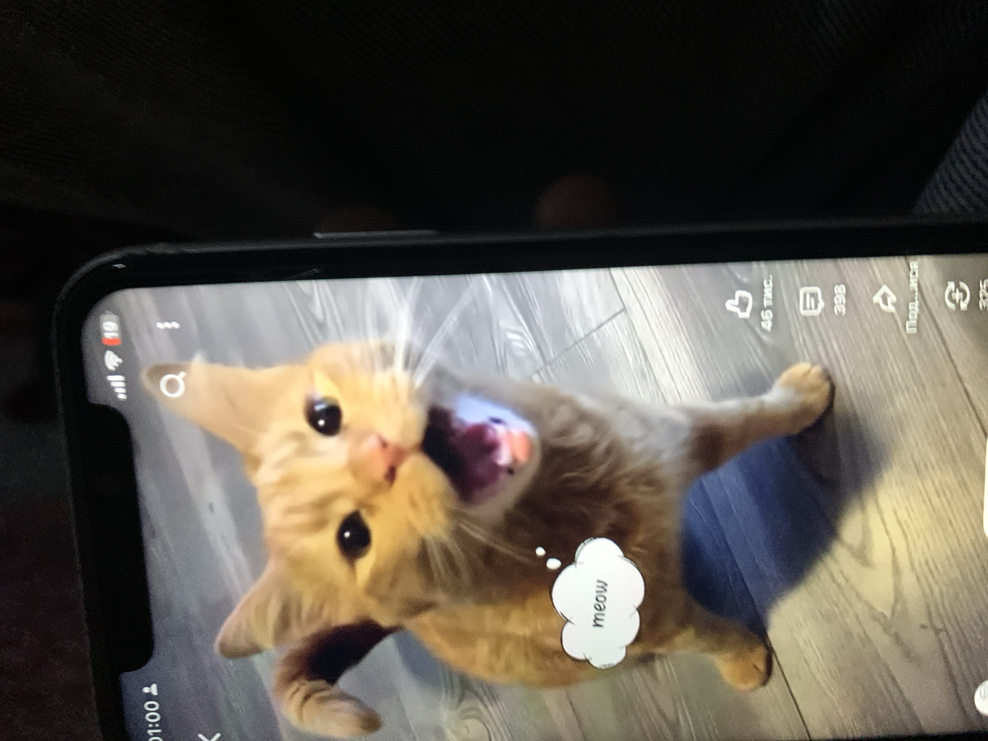 The image shows a ginger cat with its mouth open, appearing to be meowing. A speech bubble with the word "meow" is overlaid on the cat. The cat is on a wooden floor. The image is a screenshot from a phone, with elements of the phone's interface visible, including the time "01:00", a Wi-Fi signal icon, a battery indicator, and icons for likes, comments, and shares. The phone is being held by a person, whose dark clothing is visible on the right side of the image. There is no information in the image that indicates the location in the city of Zhmerynka, Ukraine.