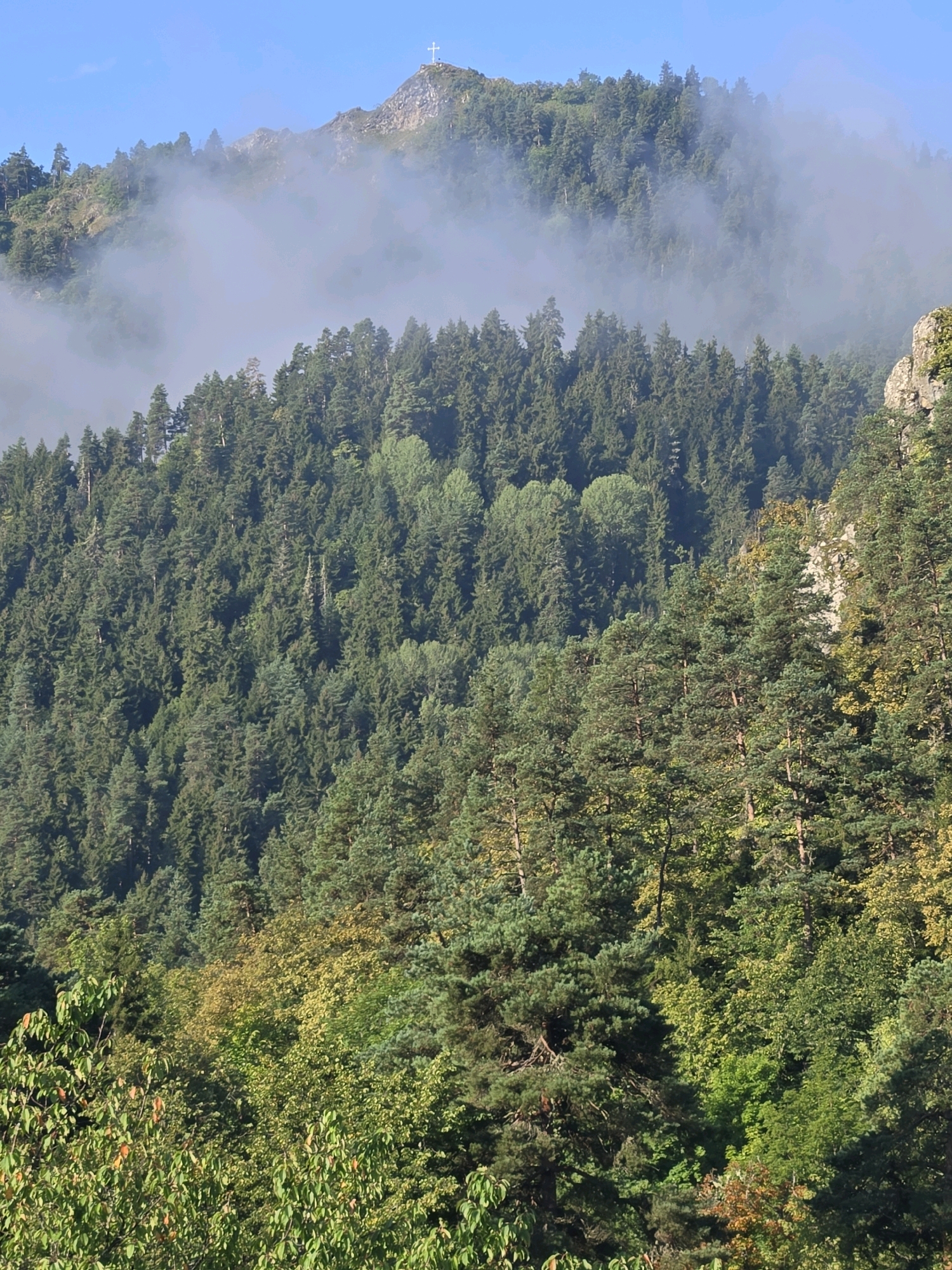 A vertical, medium shot captures a lush, mountainous landscape in Abastumani, Georgia, under a clear blue sky. The foreground is dominated by a dense forest of various shades of green trees, with some showing hints of yellow and orange, suggesting the onset of autumn. Sunlight filters through the foliage, creating patches of light and shadow. In the middle ground, the forest continues up a steep slope, giving way to rocky outcrops partially obscured by rolling white clouds. Further up, the peak of a mountain is visible, crowned by a white cross, standing starkly against the sky. The overall scene conveys a sense of natural beauty and tranquility.
