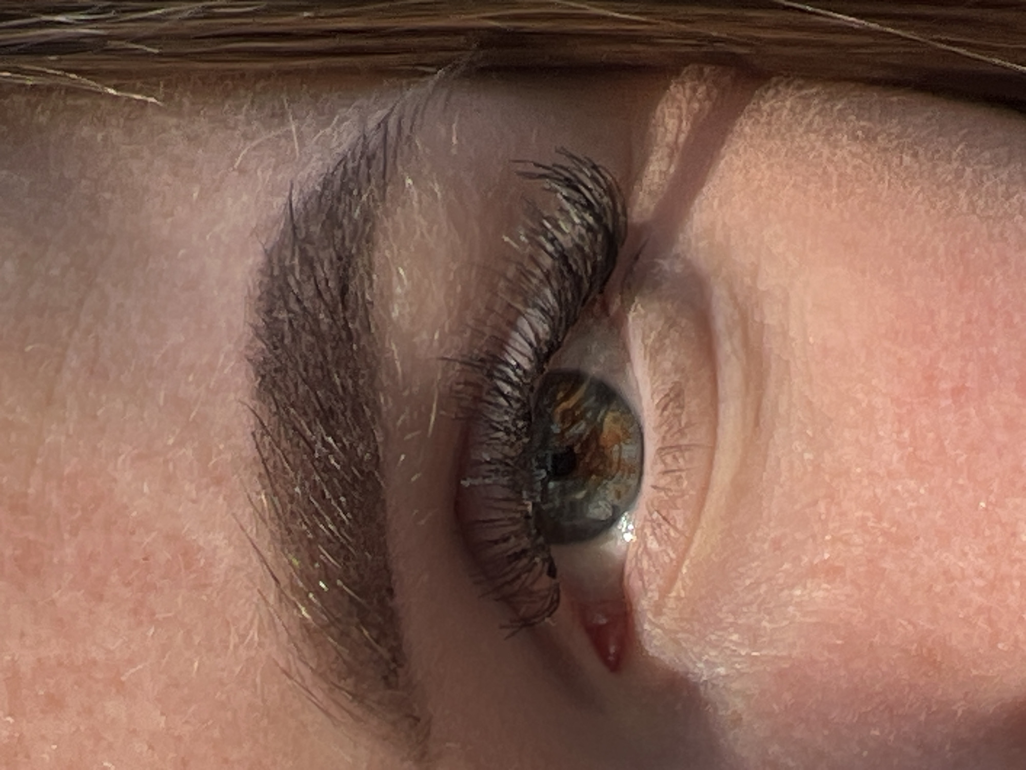 A close-up shot focuses on an eye, positioned diagonally within the frame. The eyebrow, dark and defined, sits above the eye, with individual hairs visible. Eyelashes, also dark and thick, curve upwards and outwards. The iris is a mix of brown and green hues. The surrounding skin appears fair, with visible texture and some fine lines. A small red blemish is present near the lower eyelid. The image provides no discernible information about the location being in Ciemne, Poland.