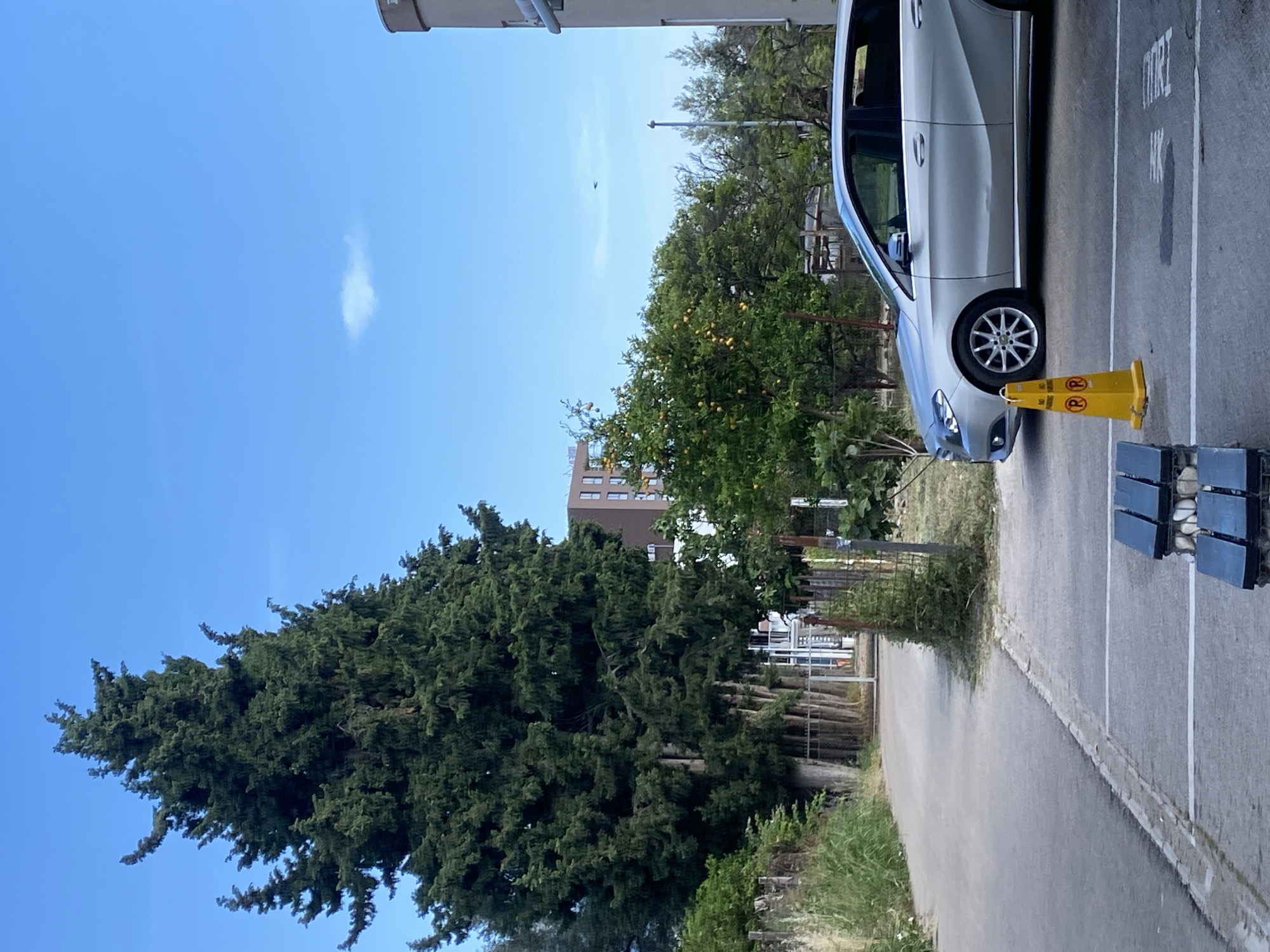 The image depicts a street scene in Bar, Montenegro, under a clear, bright blue sky. In the right portion of the frame, a silver car is parked in a designated parking space. A yellow traffic cone and a stack of dark-colored objects are situated near the front of the vehicle. Adjacent to the parking area is a sidewalk or pathway lined with grass and vegetation.
In the background, there are various trees and shrubs, along with a multi-story building. A tall, dark green tree dominates the left side of the image, providing a stark contrast against the bright sky.