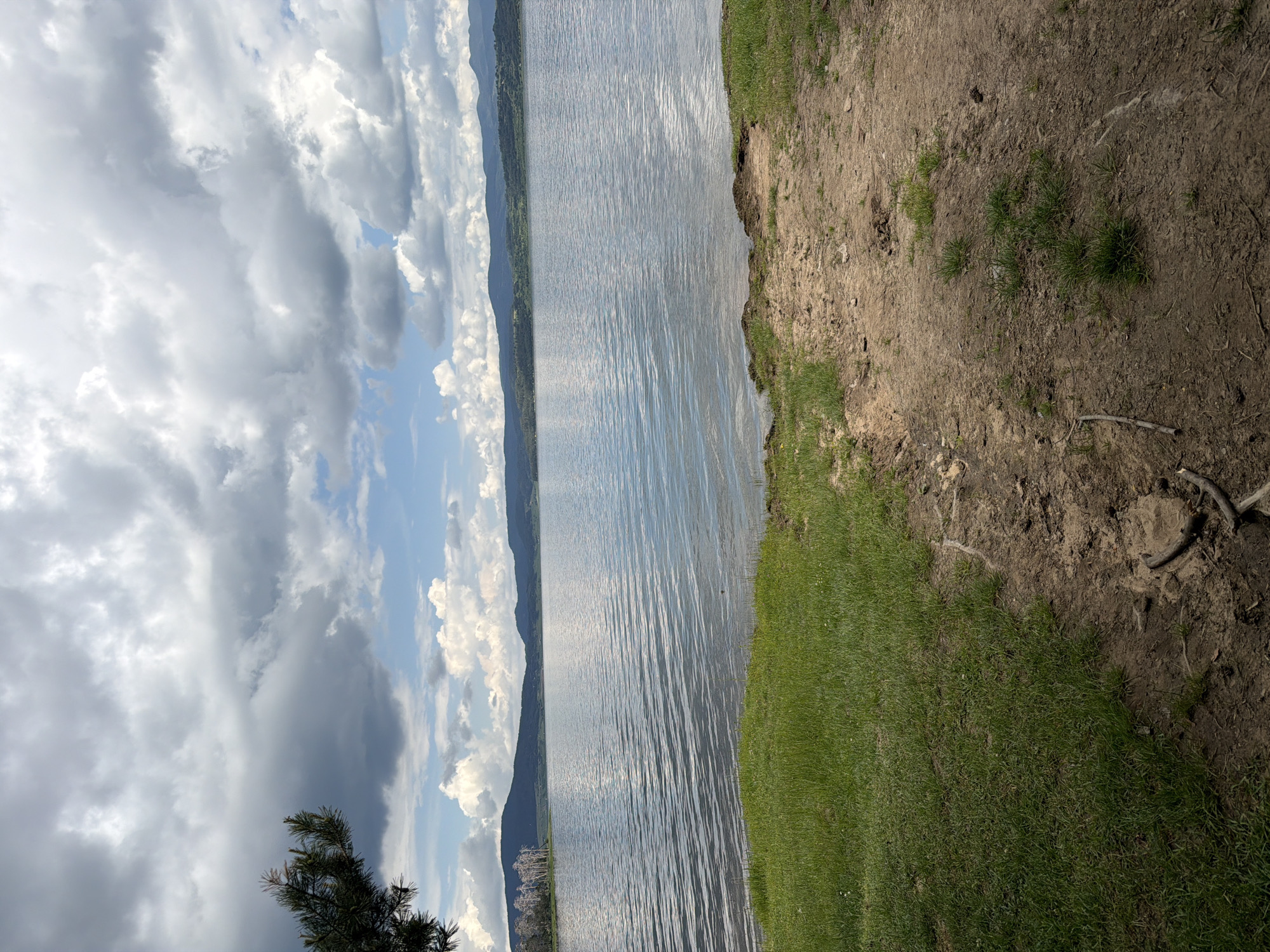 The image captures a landscape view at Tsigov chark, Bulgaria, featuring a large body of water under a partially cloudy sky. The upper third of the frame is occupied by a sky dominated by grey stratocumulus clouds, with some brighter white cumulus clouds and intermittent patches of blue sky visible, particularly towards the lower right. A dark green pine branch is partially visible in the upper left corner.
The central and largest element is a body of water, likely a lake or reservoir, displaying fine ripples across its surface, suggesting wind activity. The water reflects the muted tones of the sky. In the distant background, a continuous line of dark green, forested hills or mountains extends horizontally above the water. On the far left bank of the water body, a small cluster of light-colored, possibly dead or bare trees stands against the darker background.
The immediate foreground consists of land, divided into two distinct sections. The left foreground is covered by a dense patch of vibrant green grass. The right foreground features a bare, uneven, brown dirt and sandy path or bank leading directly to the water's edge. This muddy area contains scattered small sticks and sparse patches of green grass growing through the soil. No individuals, animals, or man-made structures (other than what constitutes the reservoir itself) are visible. The scene is illuminated by diffused daylight.
