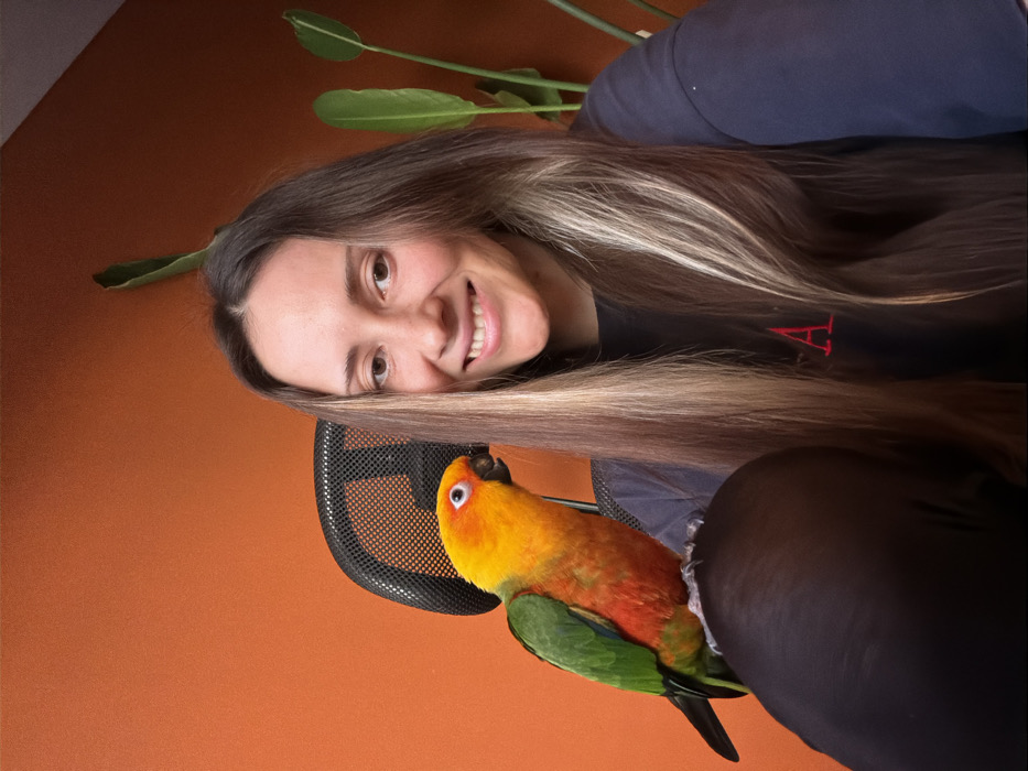 A female subject with long, dark brown hair with blonde highlights is captured from the chest up, smiling directly at the camera. She wears a dark long-sleeved top with a red embroidered capital 'A' visible on the left chest. Perched on her left shoulder is a Sun Conure parrot, exhibiting bright yellow, orange, and green plumage, facing left with its head slightly angled towards the viewer, beak partially open. A black office chair with a mesh back is visible behind the parrot. The background consists of a solid orange wall, with a large green-leafed plant partially visible on the right side of the frame. The scene is set indoors. No specific location within the city of Khimki, Russia, is discernible from the image content.