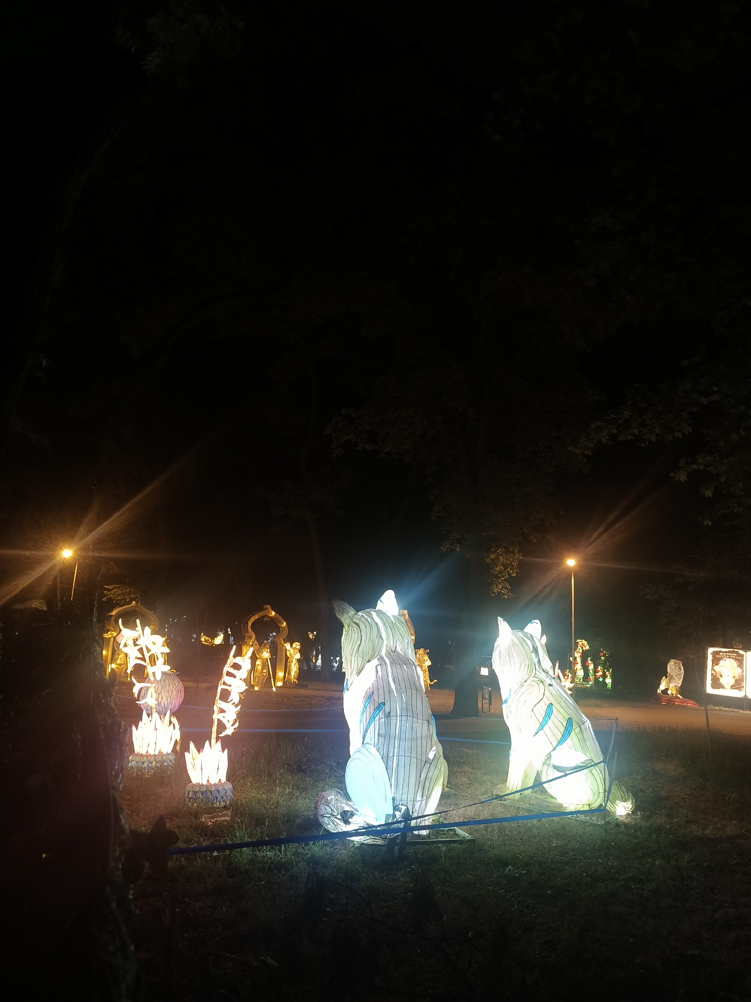 At night in Odesa, Ukraine, several large illuminated lantern sculptures are displayed outdoors. In the foreground, two lantern sculptures resembling cats sit on the grass. The cat on the right is facing to the left and is predominantly white with blue accents. The cat on the left is facing away and has a similar white and blue design. To the left of the cats are smaller, bright yellow and white lantern sculptures depicting plants or flowers. In the background, several other illuminated structures are visible, including golden archways with figures and other animal-shaped lanterns. A streetlamp with a bright light source shines from the left side of the image, casting rays across the scene. The ground appears to be a mix of grass and dirt paths, and trees line the background.