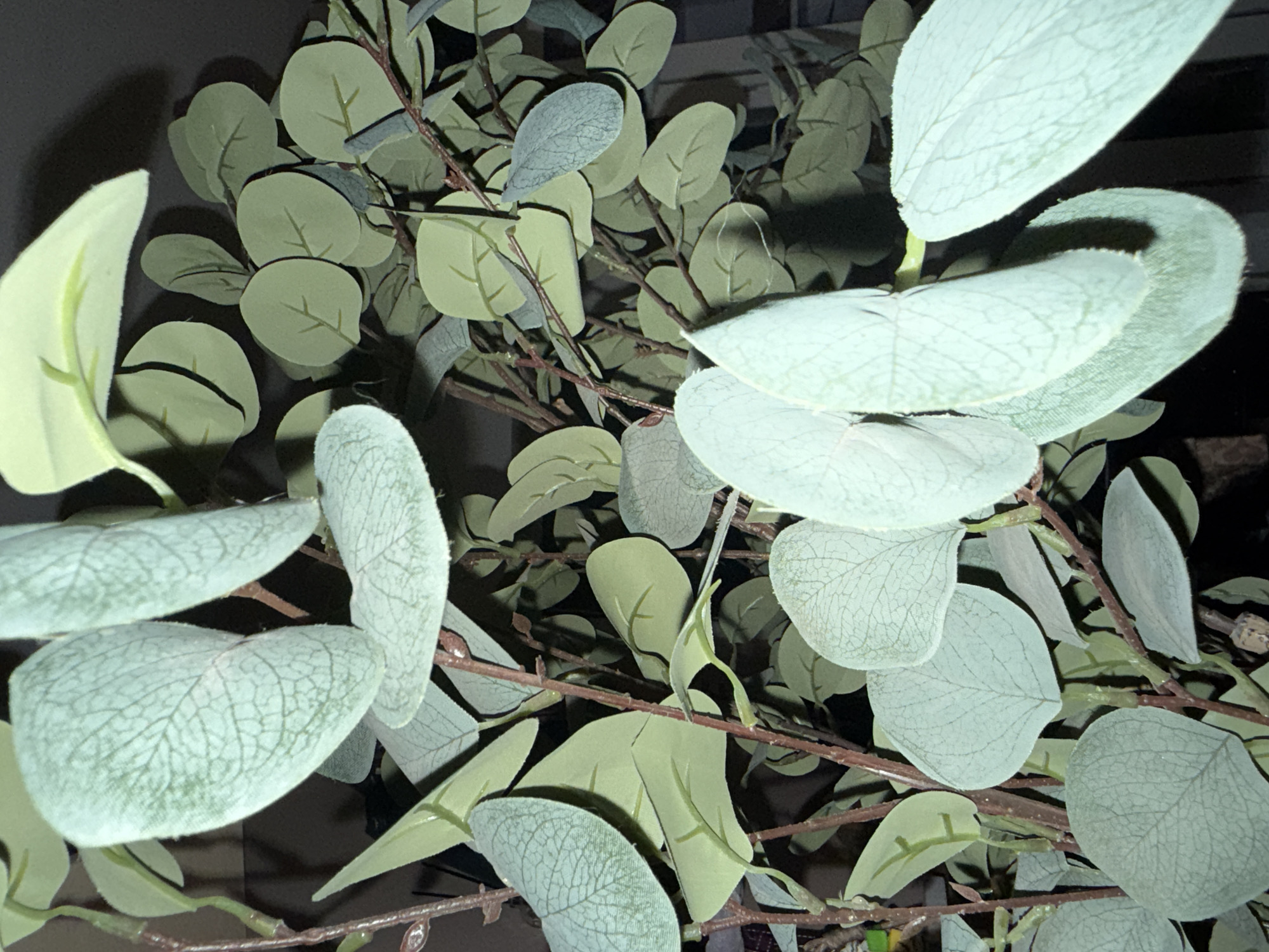 The image displays a close-up view of artificial eucalyptus leaves and stems. The leaves are a pale green with visible veining, and some are rounded while others are more elongated. They are attached to thin, brown, twig-like stems. The background is dark and out of focus, suggesting an indoor setting. There are no people or animals present in the image. The scene appears to be a decorative arrangement of faux greenery. There is no information to determine the location in the city of Abuja, Nigeria.