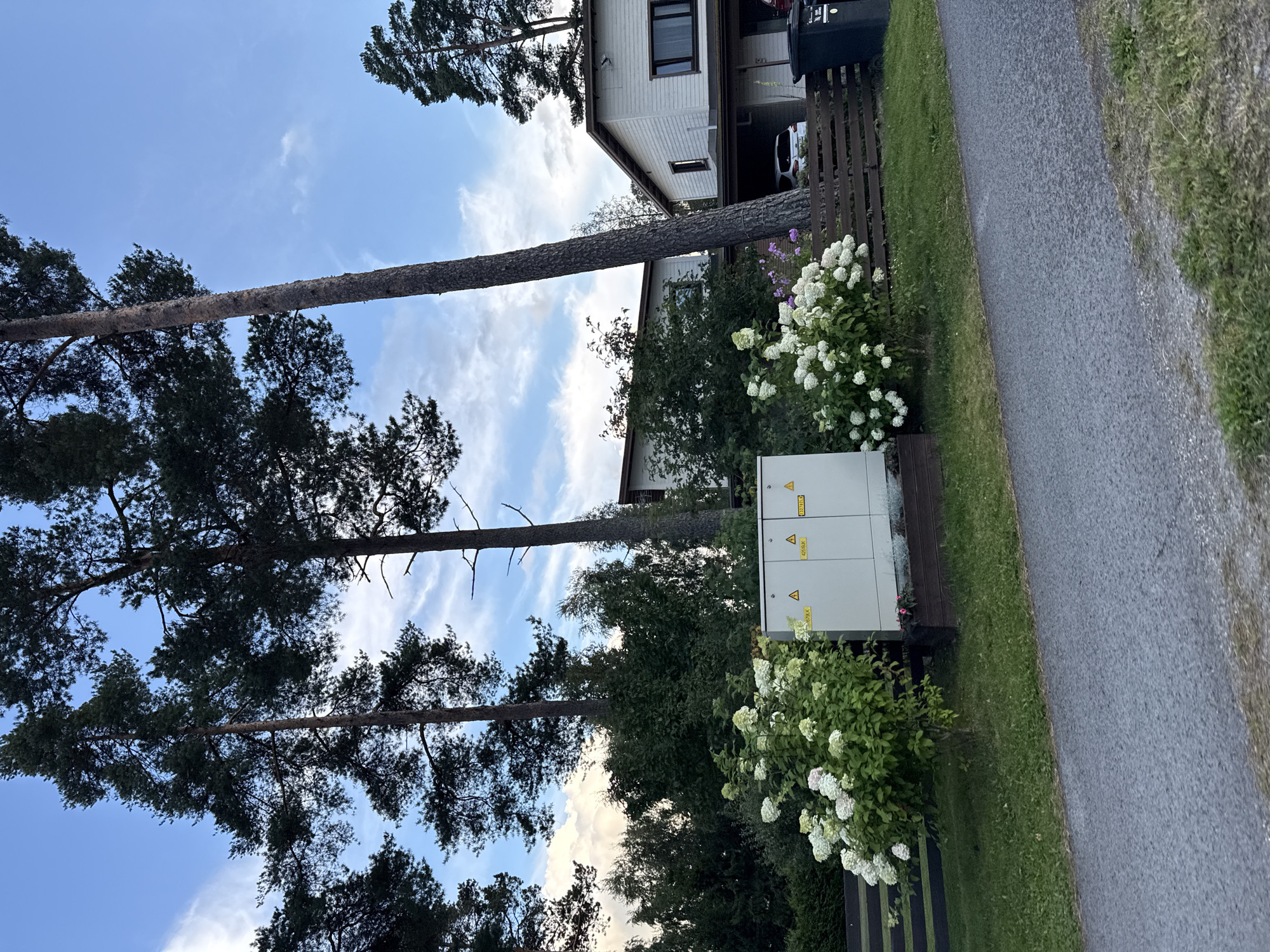 The image depicts a residential area with a paved road in the foreground. To the right of the road, a wooden fence separates the private property from the public space. Behind the fence, a white electrical box stands next to a lush green bush with white flowers. Beyond the electrical box and bush, two white houses are visible, partially obscured by tall pine trees. The houses appear to be modern in design, with visible windows and rooflines. One house has a carport with a white car parked underneath. A black trash bin is also present near the fence. The sky above is blue with scattered white clouds, and the overall environment suggests a suburban or rural setting, likely Uuesalu, Estonia, given the architectural style and vegetation.