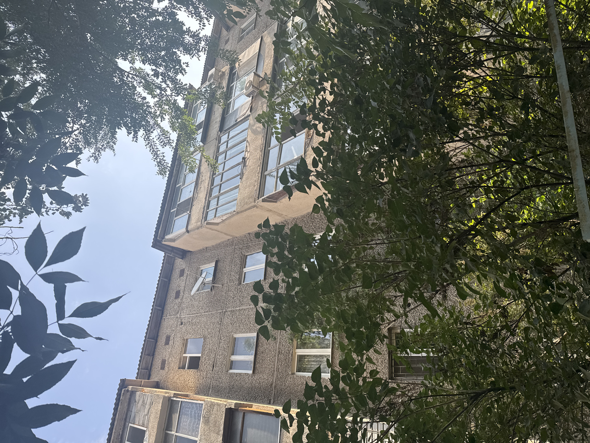 This is a ground-level, upward-facing photograph of a multi-story apartment building in Bishkek, Kyrgyzstan, partially obscured by lush green foliage in the foreground. The building appears to be constructed from grey, textured concrete blocks, with some sections exhibiting signs of wear and tear. Several windows of varying sizes and designs are visible, some with curtains, others open, and some fitted with air conditioning units. A satellite dish is mounted on one of the upper floors. The roofline is visible, with corrugated metal sections. Above the building, the sky is a clear, pale blue, with the dark silhouettes of leaves and branches from trees framing the top of the image. The sunlight suggests it is daytime.