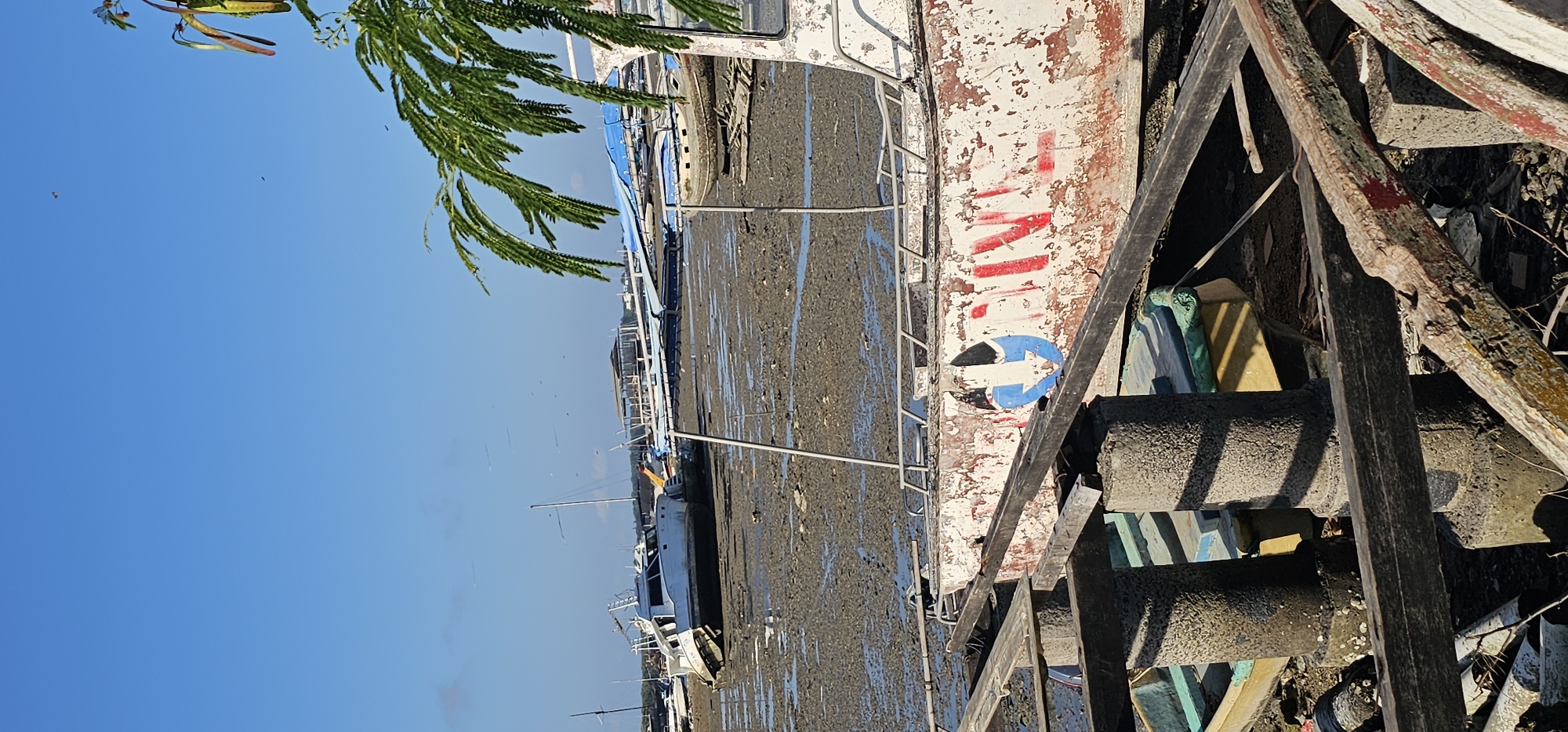 The image shows a scene at an unidentified location in Unknown, Indonesia, likely a coastal area during low tide. Several boats are docked on a muddy, exposed seabed. The boat closest to the foreground is weathered with peeling paint and red lettering, and a blue and white directional sign. A rusted metal ladder runs along its side. To the right, a dilapidated wooden structure obstructs the view partially. The sky is a clear blue, and a leafy branch overhangs in the upper left corner. The general environment appears neglected and worn.