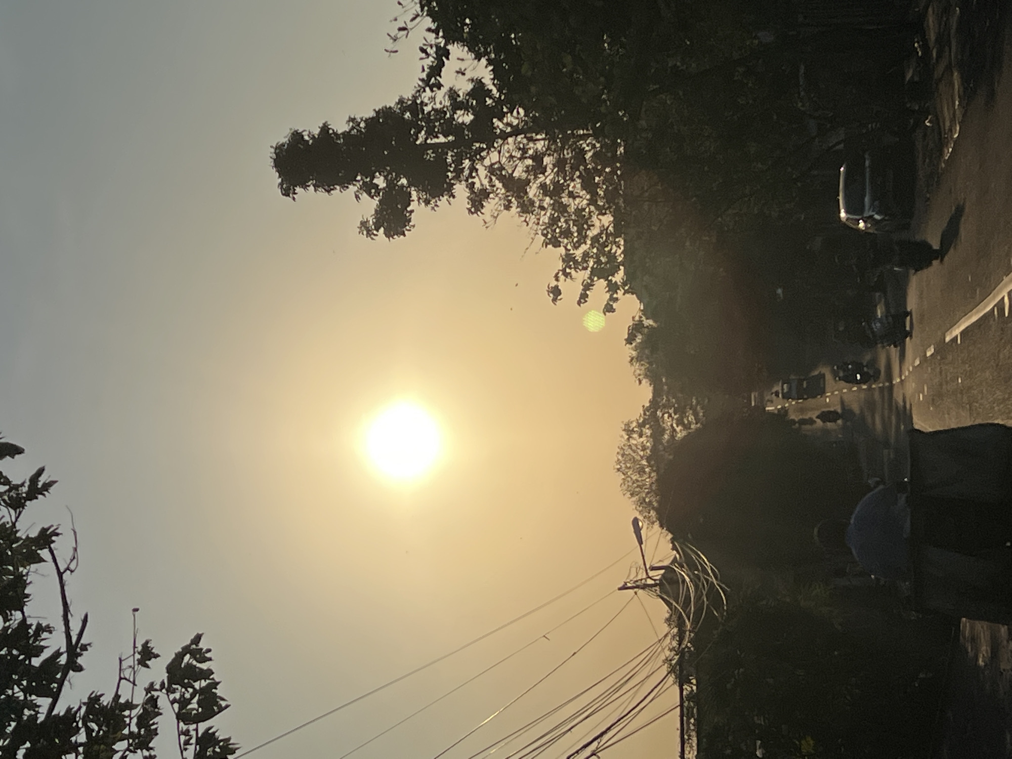 A wide-angle, low-angle shot captures a street scene in Denpasar, Indonesia, bathed in the warm glow of a setting sun. The sky is a hazy yellow, with the sun appearing as a bright, diffuse disc in the upper center. Silhouetted against the sky are branches of a tree in the upper left and a tall tree on the right. A dense canopy of trees lines both sides of the road, creating a somewhat shadowed environment.
The road itself is paved and marked with white lines. Traffic is visible, with several motorcycles and at least one car moving along the street. In the foreground, on the left side of the road, a person wearing a blue shirt is seated on a cart-like vehicle, facing away from the camera. The cart appears to be made of dark material. A tangle of power lines and a lamppost are visible on the left, suspended above the road. The overall impression is of a busy, everyday scene in a tropical urban environment during sunset.