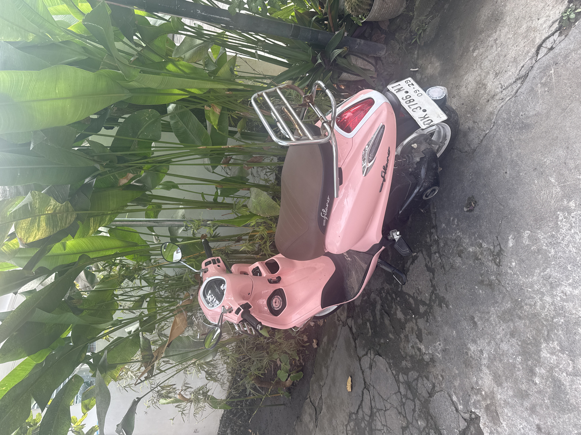 A pink Vespa-style scooter is parked on a cracked concrete surface next to lush tropical foliage. The scooter's license plate reads "DK 3786 NI" with "09.29" visible below. The scooter features a brown seat, a chrome luggage rack, and the word "Filano" in cursive on its side. The location appears to be an outdoor area, likely a street or parking space in Nusa Penida, Indonesia, based on the license plate format.