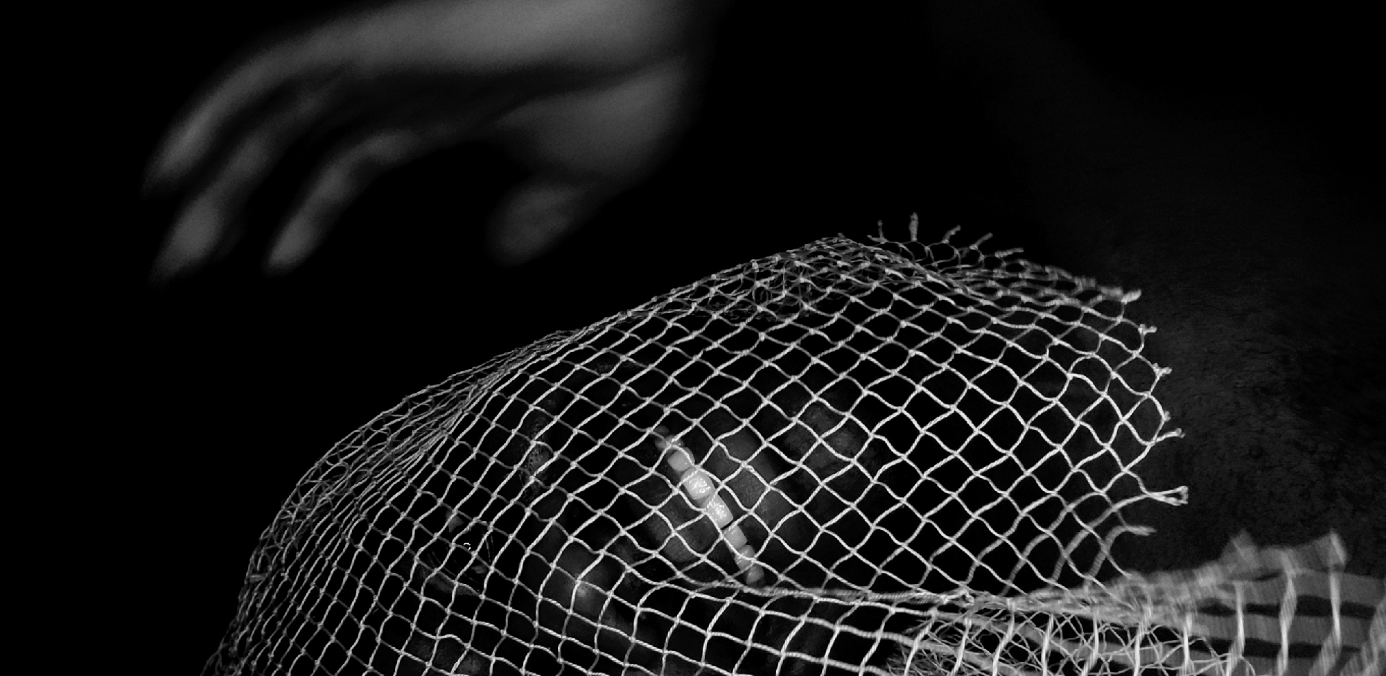 A black and white photograph depicts a person with a net over their head. A hand reaches down from the upper left. The background is dark. No location in Narayi, Nigeria can be determined from the information provided.