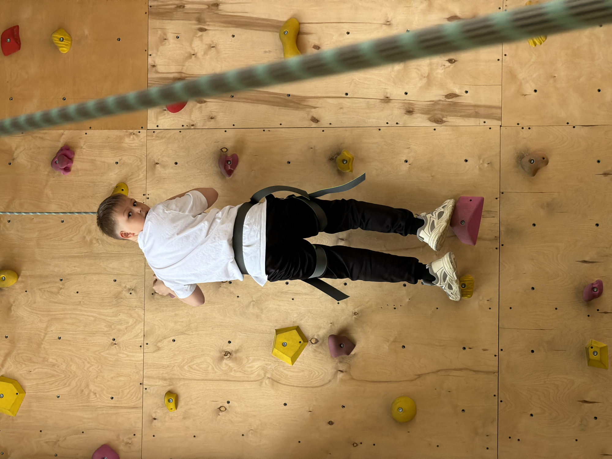 A high-angle shot captures a young boy actively engaged in indoor rock climbing at a facility in Izhevsk, Russia. The boy, dressed in a white t-shirt, black pants, and white athletic sneakers, is suspended horizontally against a light-colored wooden climbing wall. He is secured by a black climbing harness, to which a safety rope, featuring green and black stripes, is attached. This rope diagonally traverses the upper section of the frame.
The climbing wall is constructed from multiple rectangular plywood panels, featuring numerous pre-drilled holes for attaching holds. Various brightly colored climbing holds are bolted onto the wall in red, yellow, and pink, serving as footholds and handholds for the climber. The boy's face is turned towards the camera, showing a neutral, focused expression. His body is extended, with his hands and feet placed on different holds, indicating he is in the process of climbing. The overall scene suggests an indoor sports or recreational climbing environment, likely a gym or training center. No visible text is present in the image.