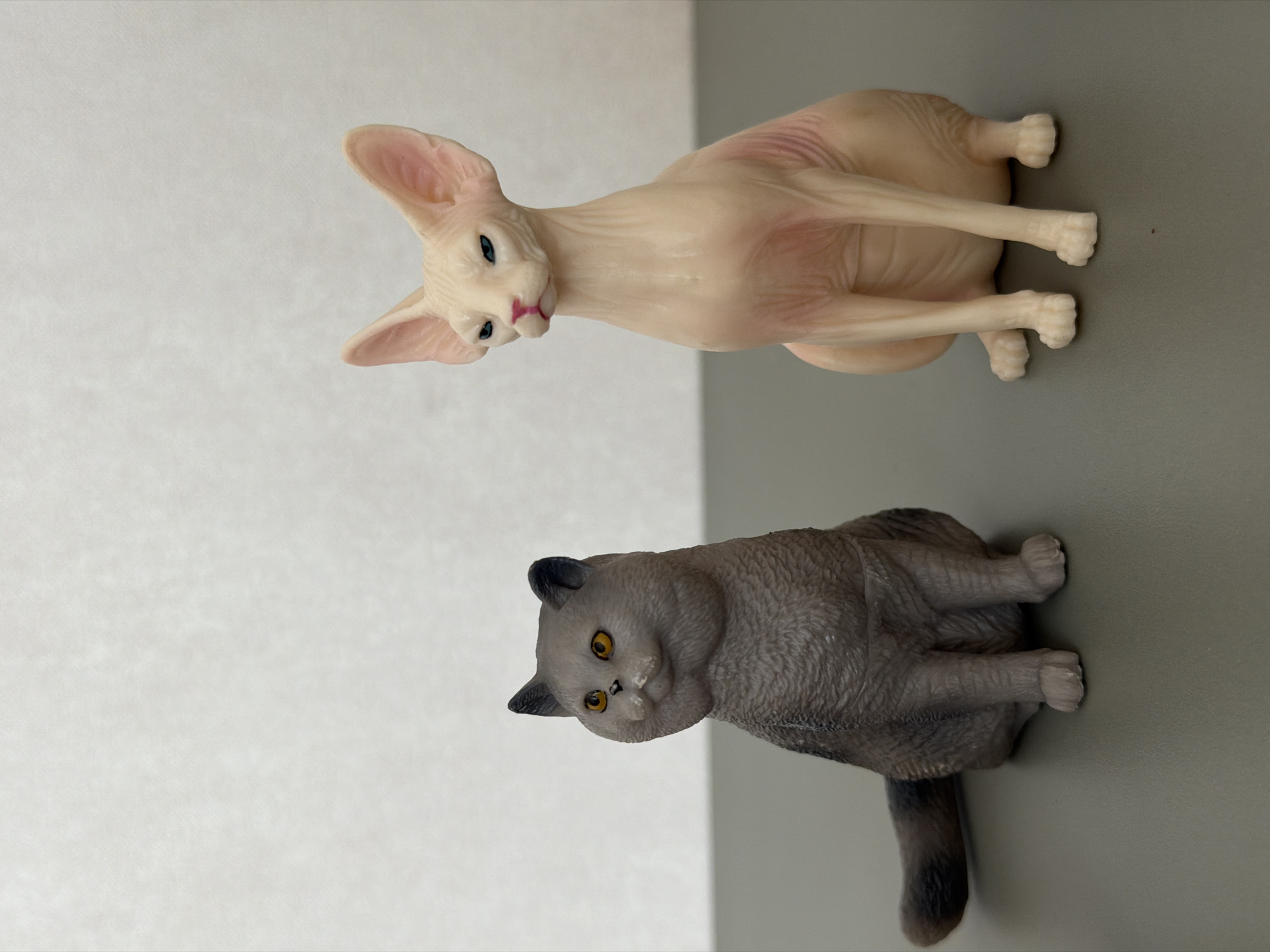 The image shows two cat figurines, one a hairless breed and the other a gray, short-haired breed. The figurines are positioned on a surface split diagonally into white and gray sections. The hairless cat sits atop the white section, while the gray cat sits on the gray section. The location is likely a studio setting. There is no evidence to verify it is in Chaikovsky, Russia.