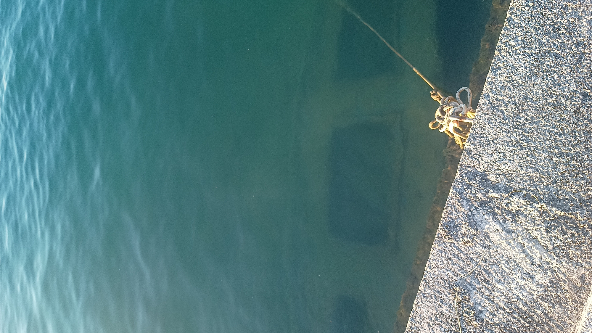 This image, taken in Umag, Croatia, presents a detailed overhead view of a concrete pier edge and the adjacent clear, turquoise-green seawater under bright daylight. The foreground is dominated by a rough, light grey concrete surface, possibly a pier or seawall, exhibiting textural variations and small aggregate stones. Along the right edge of this concrete, a thick, white, multi-strand rope is tightly coiled and knotted, partially resting on the concrete and partially submerged in the shallow water directly against the pier. A segment of this rope extends diagonally downwards and to the right, disappearing into the water.
The water itself is transparent, revealing the seabed. Several large, rectangular, dark grey structures, possibly concrete blocks or submerged foundations, are clearly visible beneath the surface. These structures appear uniform in shape and are arranged in the mid-ground. Darker organic matter, likely algae or sediment, adheres to the underwater portion of the concrete pier edge. The water's surface shows subtle ripples and reflections of light. No people or animals are present in the scene.