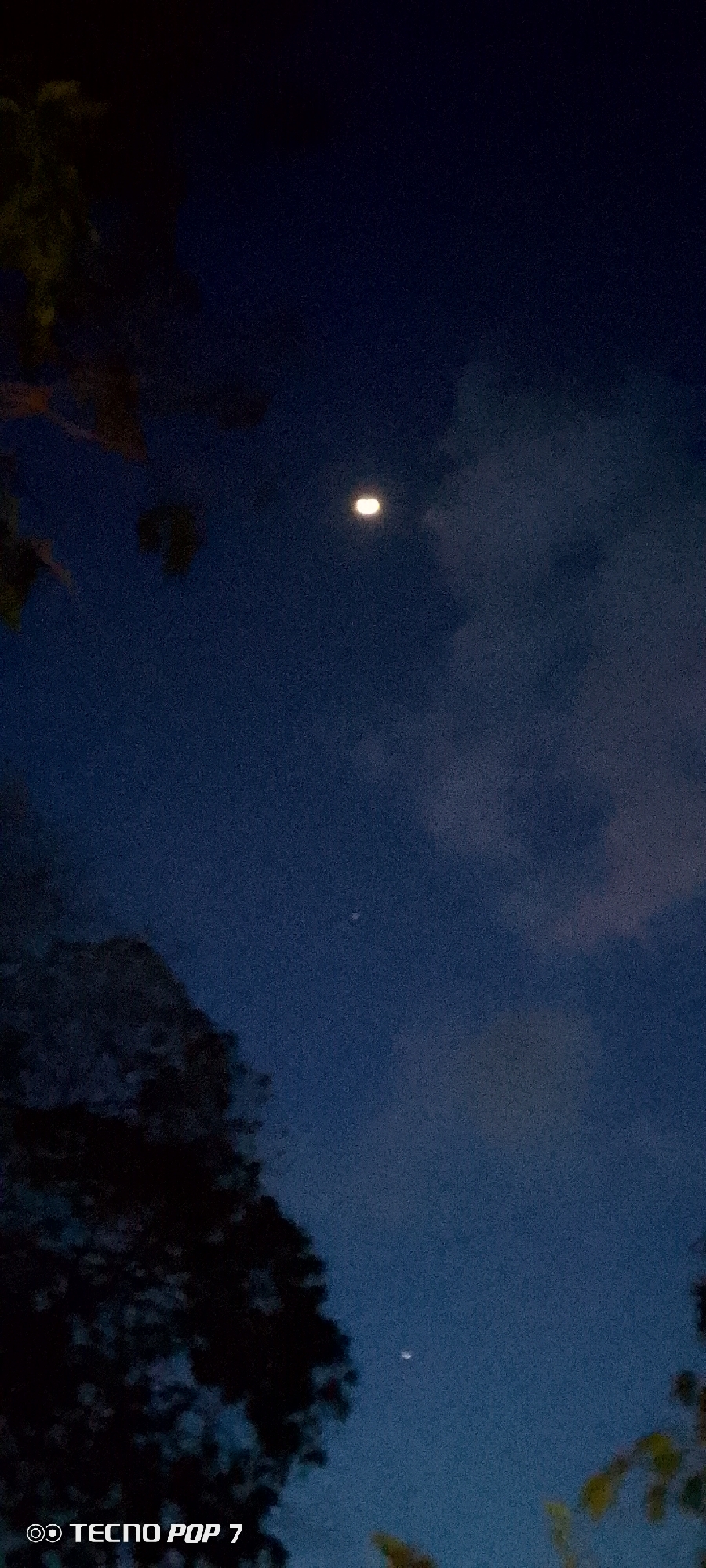The image shows a night sky over Altagracia, Venezuela. The moon is visible near the top of the frame, with some clouds in the sky. There appear to be a few other celestial objects visible as well. Silhouetted tree branches frame the sides and bottom of the shot. The image was captured with a TECNO POP 7 phone.