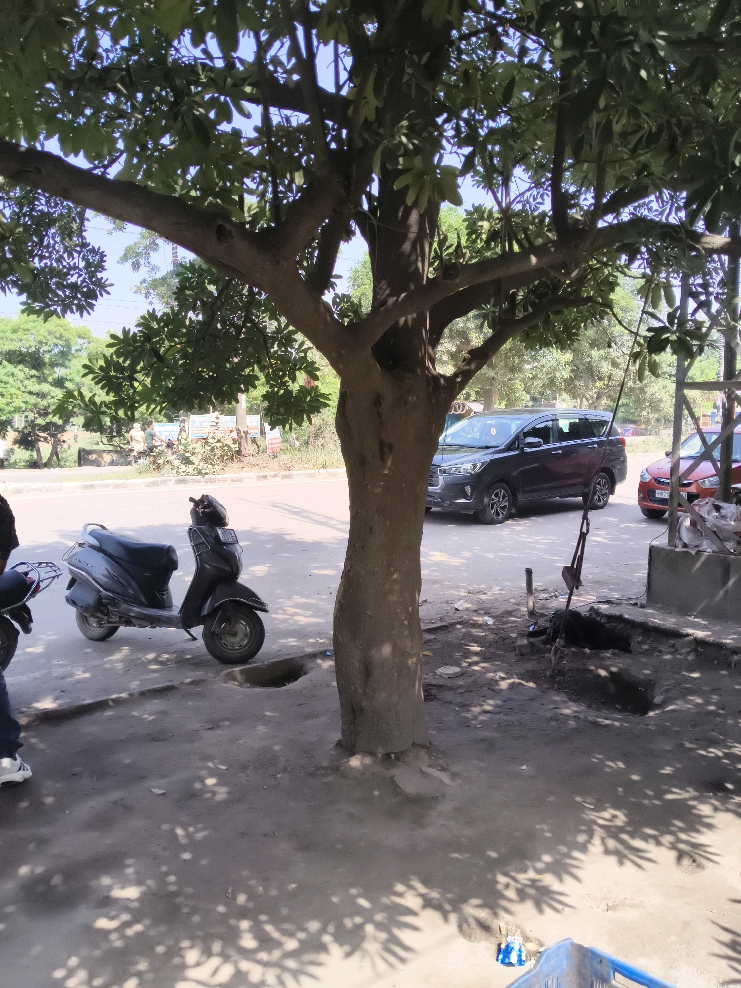 The image depicts a street scene in Panipat, India, bathed in sunlight and dappled with tree shadows. A large tree trunk dominates the foreground, its branches extending upwards and obscuring parts of the sky. To the left of the tree, a dark-colored scooter is parked on the uneven, dusty ground. In the background, a dark grey SUV is visible on the road, followed by a red car. Several other vehicles and indistinct figures can be seen further down the road, suggesting a moderately busy urban environment. The ground appears to be a mixture of dirt, gravel, and some scattered debris. The presence of a large tree and the type of vehicles suggest this could be a residential or commercial area within the city.