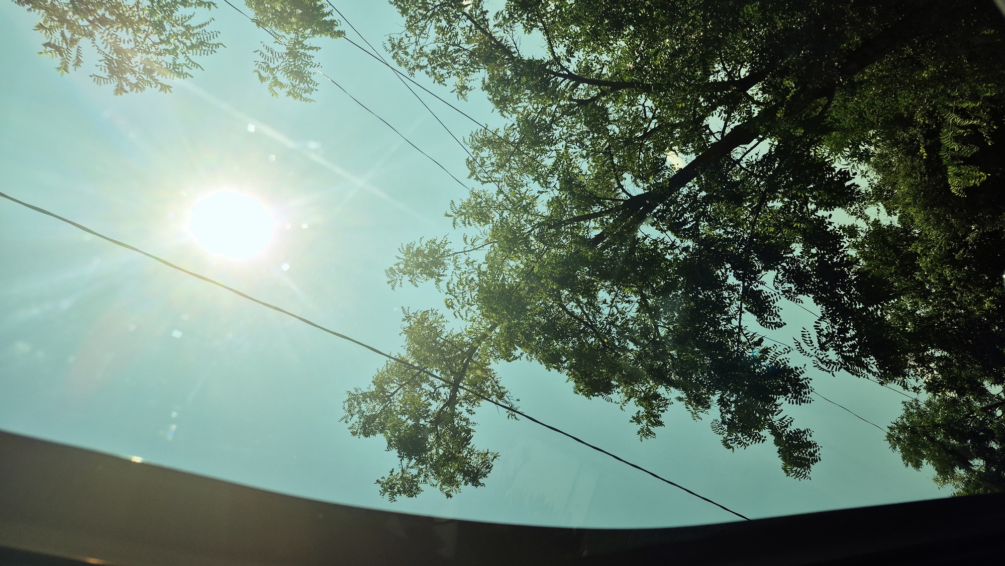 The image captures a view looking upwards through a tinted vehicle window, likely on a sunny day. Lush green foliage from several trees dominates the left and lower portions of the frame. Overhead, thin black wires traverse the bright, cyan-tinted sky. The sun is a prominent feature, positioned in the upper right quadrant of the image, radiating bright light and creating visible lens flares and starburst effects, indicative of a strong light source. The overall scene suggests an outdoor environment, possibly during daylight hours in Mihailovca, Moldova, with the overhead wires implying the presence of urban or suburban infrastructure. There are no people or specific actions depicted.