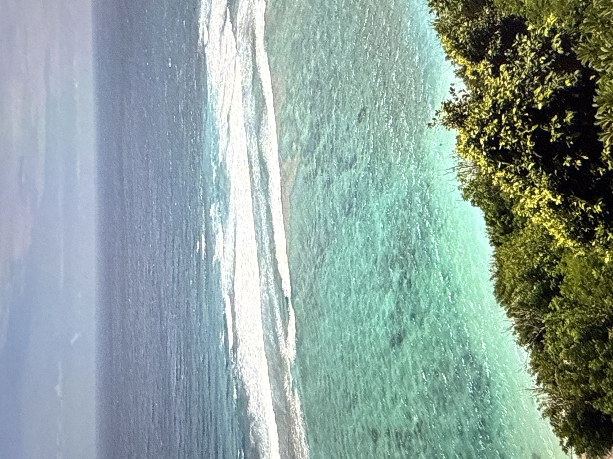 This is a high-angle shot of a tropical coastline. The foreground is dominated by lush green foliage, with some areas of bright yellow-green leaves. This vegetation slopes down towards the ocean. The ocean itself is a vibrant turquoise color, with visible coral formations beneath the surface in some areas. White waves are breaking closer to the shore, forming a distinct band of surf. Further out, the water transitions to a deeper blue, and the horizon is marked by a clear, pale blue sky with scattered white clouds. The scene depicts a serene and natural coastal environment.