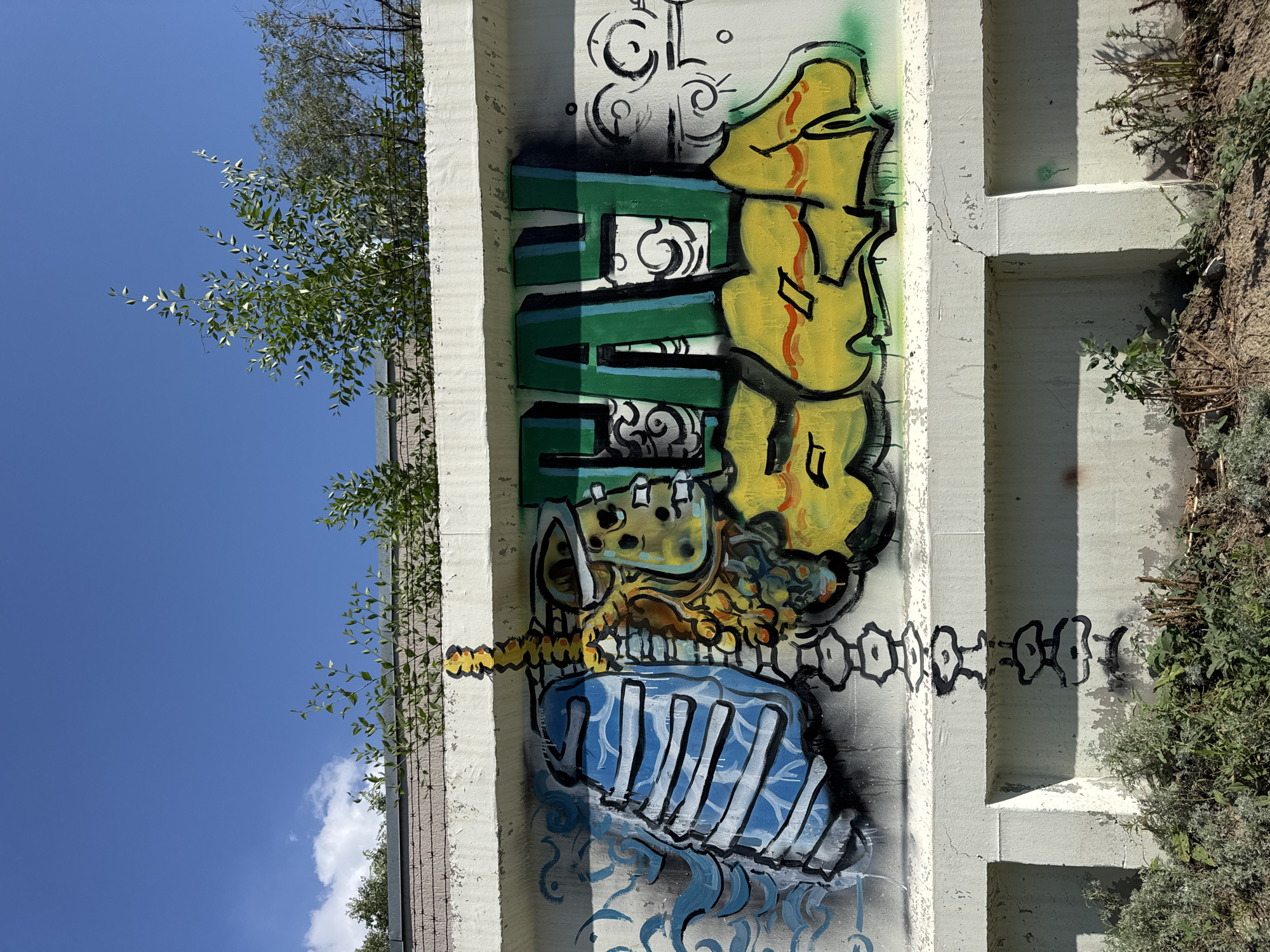 The image shows a graffiti mural on a concrete wall. The mural features abstract, stylized depictions of anatomical elements, including what appears to be a lung and a spine, rendered in blue and yellow. To the right, large green lettering spells out "HAY," with yellow bubble letters underneath. The wall is located in the city of Oskemen, Kazakhstan, and is bordered by a blue sky with scattered clouds above, and vegetation and dirt at its base.