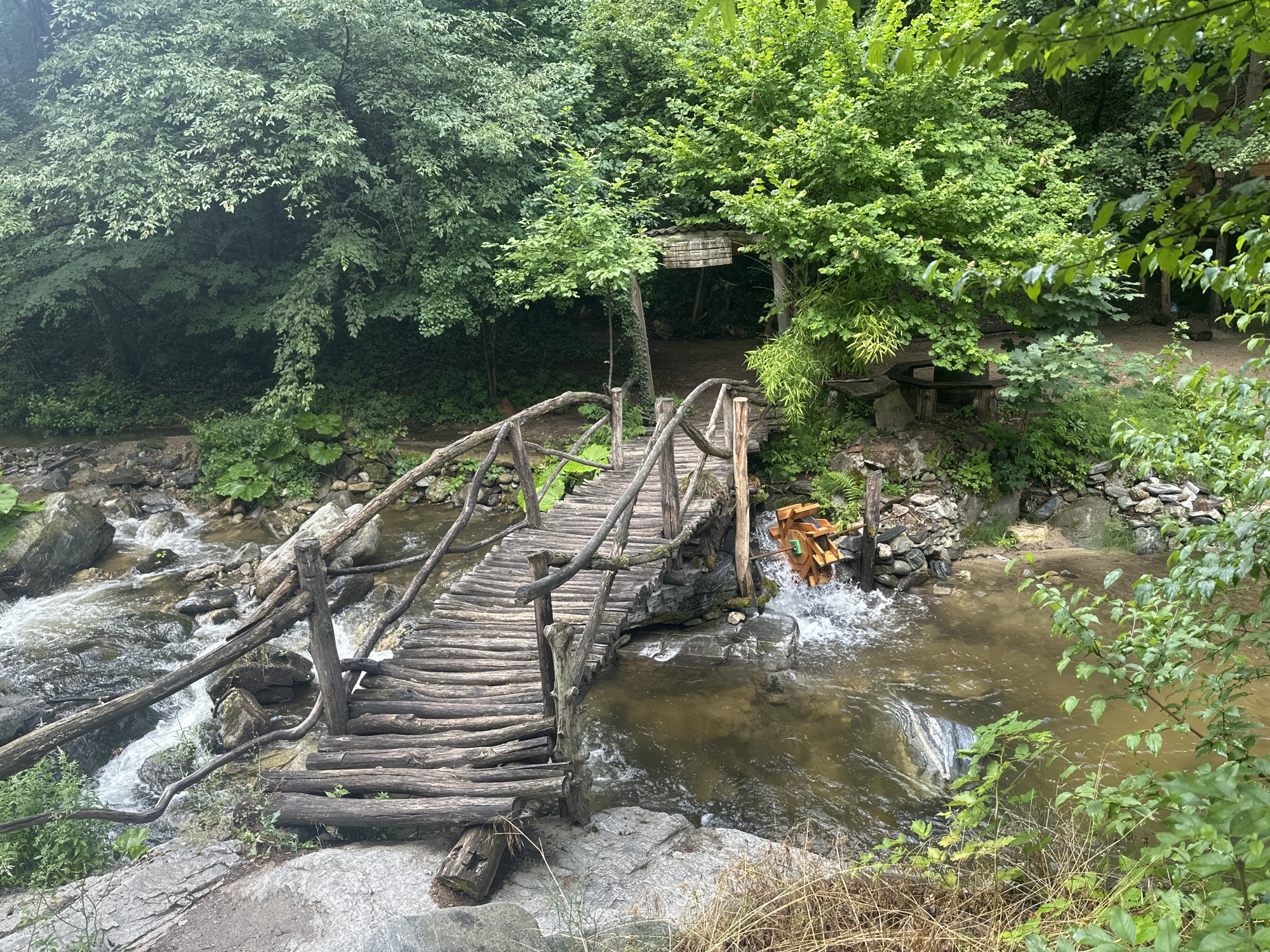 The image depicts a rustic wooden bridge spanning across a narrow, shallow river in a lush, green, forested environment. The bridge is constructed from rough-hewn logs and branches, with a simple railing made of similar materials. To the right of the bridge, a small wooden water wheel is partially submerged in the river, with water splashing around it. The riverbed is rocky, and the water is clear and flowing. The surrounding vegetation is dense with various shades of green foliage, indicating a natural, outdoor setting. The overall impression is one of a serene, natural landscape, possibly a park or a natural attraction. The image appears to be taken in the vicinity of Golyamo Belovo, Bulgaria, suggesting a location within a natural reserve or a scenic area. There are no people visible in the image. The lighting suggests it is daytime, with diffused light filtering through the tree canopy.