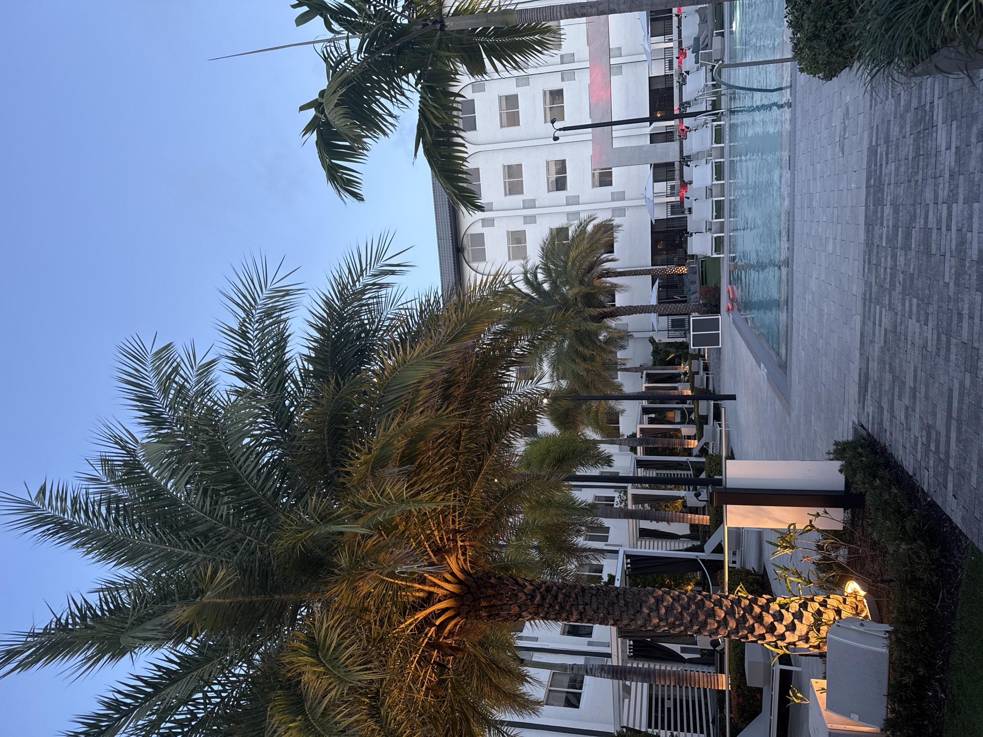 The image shows a building and a pool area with palm trees, likely in Boca Raton, Florida, United States. The building is white with multiple windows. There are palm trees along the side of the building and lining the pool area. The pool area has a gray tiled deck. Chairs and umbrellas are visible near the pool. The sky is a light blue, suggesting it is either dawn or dusk. The lighting on the palm trees suggests some artificial lighting sources are present. There are no people visible in the shot.