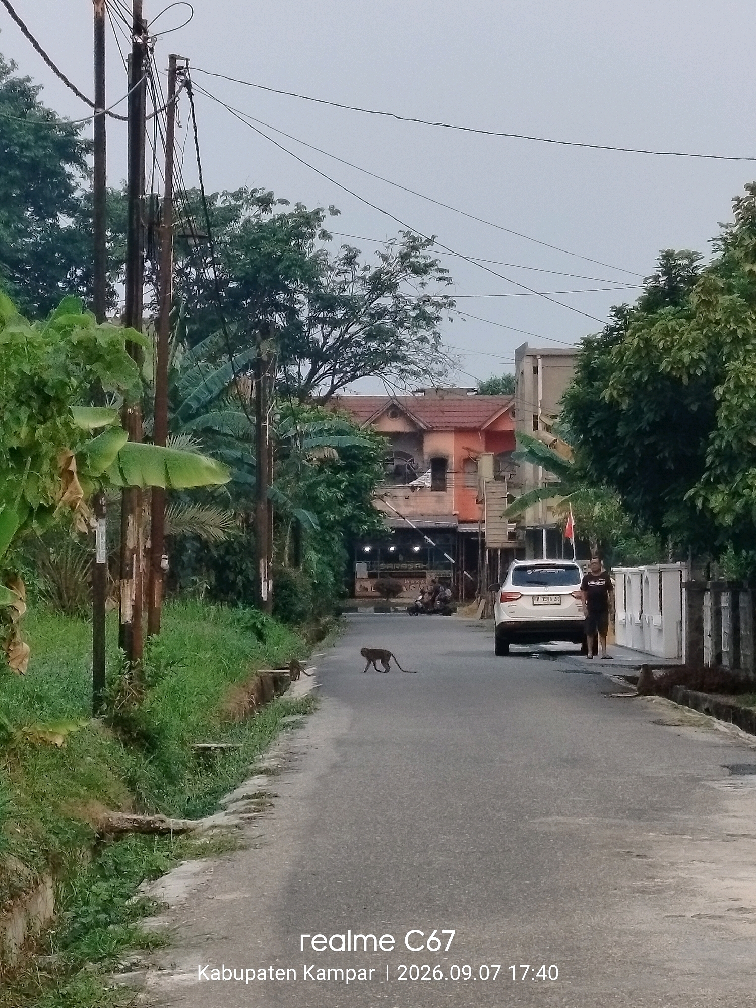 A macaque monkey walks across a paved road in what appears to be a residential area in Pandau Jaya, Indonesia. The road is flanked by green grass, drainage ditches, and numerous utility poles with tangled wires. On the left side of the road, lush vegetation, including banana trees, grows abundantly. On the right side, a white SUV is parked, and two men stand near a white fence. Beyond the fence, there are buildings, including one with an orange-tiled roof. The sky is overcast, suggesting either early morning or late afternoon. The image is watermarked with "realme C67 | Kabupaten Kampar | 2026.09.07 17:40".