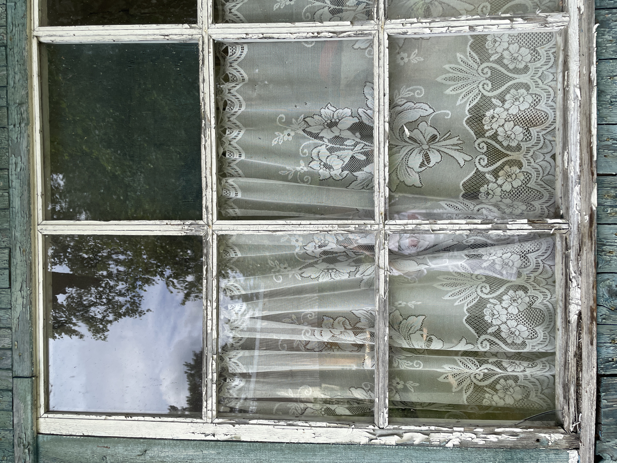 This is a close-up, eye-level shot of an old, grimy window with multiple panes. The window frame is made of weathered white wood with peeling paint. The window is divided into a grid of six panes, with three panes across and two rows.
The left column of the window contains two panes filled with glass. The upper left pane shows a dark, shadowy view of green foliage, possibly trees. The lower left pane reflects the sky, with visible clouds and the dark silhouette of tree branches.
The right two columns of the window each contain two panes, and all four of these panes are covered with delicate white lace curtains. The lace features intricate floral patterns and scalloped edges. The curtains are slightly sheer, allowing some light to pass through, and they are gathered and draped, creating soft folds. The lace is slightly discolored and appears aged, consistent with the condition of the window frame.
The overall setting appears to be outdoors, possibly of a rustic or older building, given the weathered wood and peeling paint. There are no people visible in the media file. The time of day is difficult to ascertain precisely, but the reflections in the glass suggest daylight. The weather appears to be clear with some cloud cover, based on the reflections. The emotion evoked is one of age, neglect, and perhaps a touch of nostalgic charm due to the lace curtains. There is no visible text.