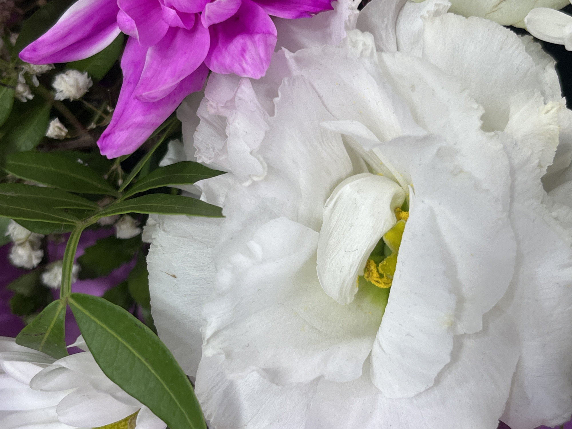 The image is a close-up shot of a bouquet of flowers. A large white flower with delicate, ruffled petals is in the foreground, with its yellow stamen visible at the center. To the right, a vibrant pink flower with pointed petals is partially visible. Green leaves and small white flowers are interspersed throughout the bouquet. The background is blurred, with hints of purple and darker tones. There are no people or any indication of a city or specific location in the image.